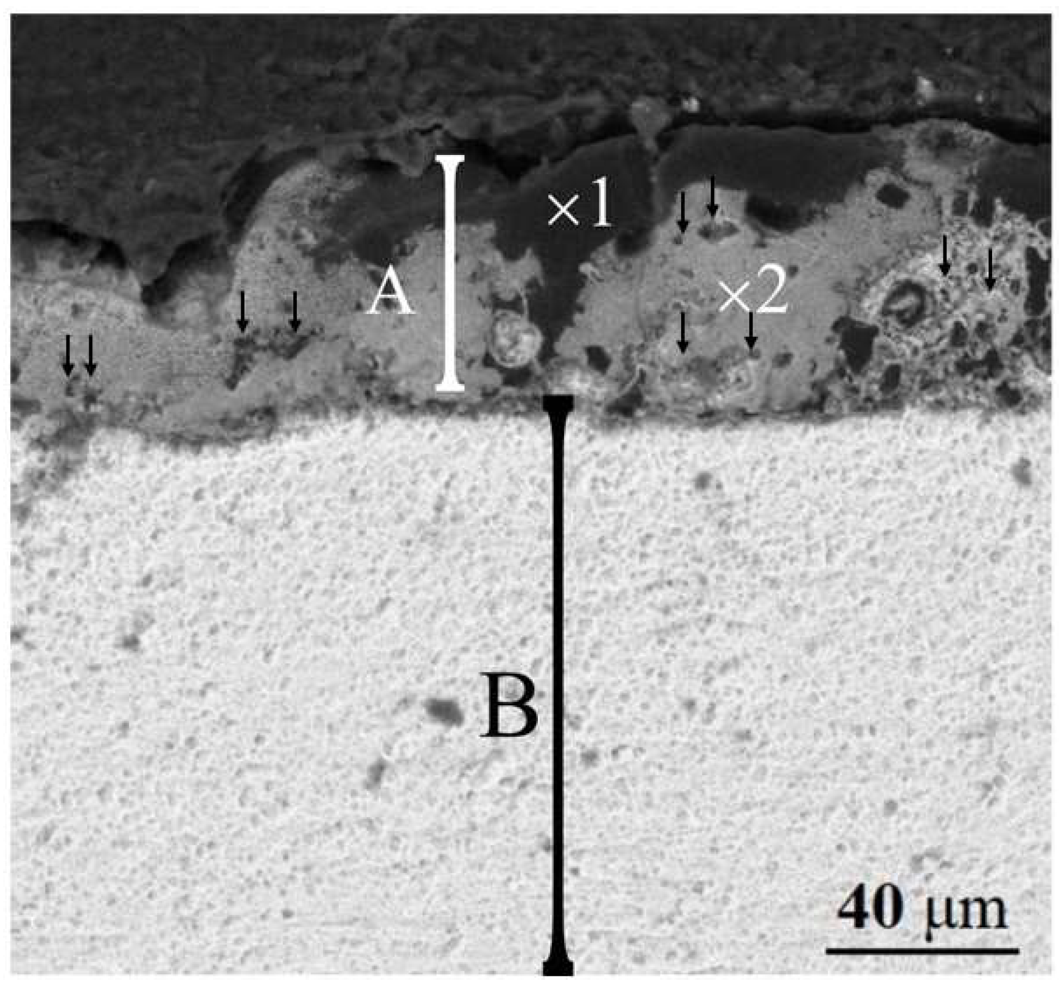 Coatings 13 01941 g003