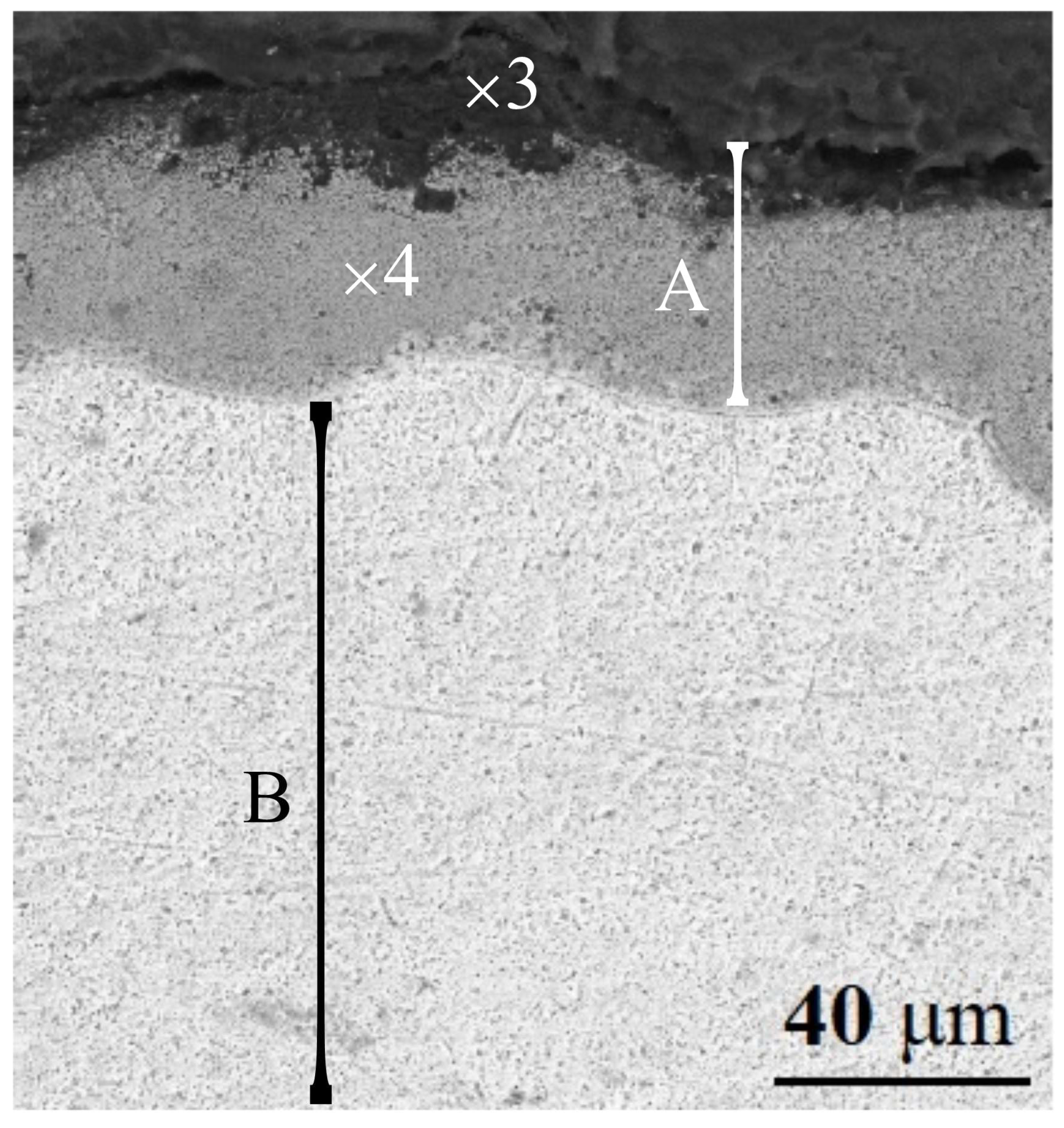 Coatings 13 01941 g005
