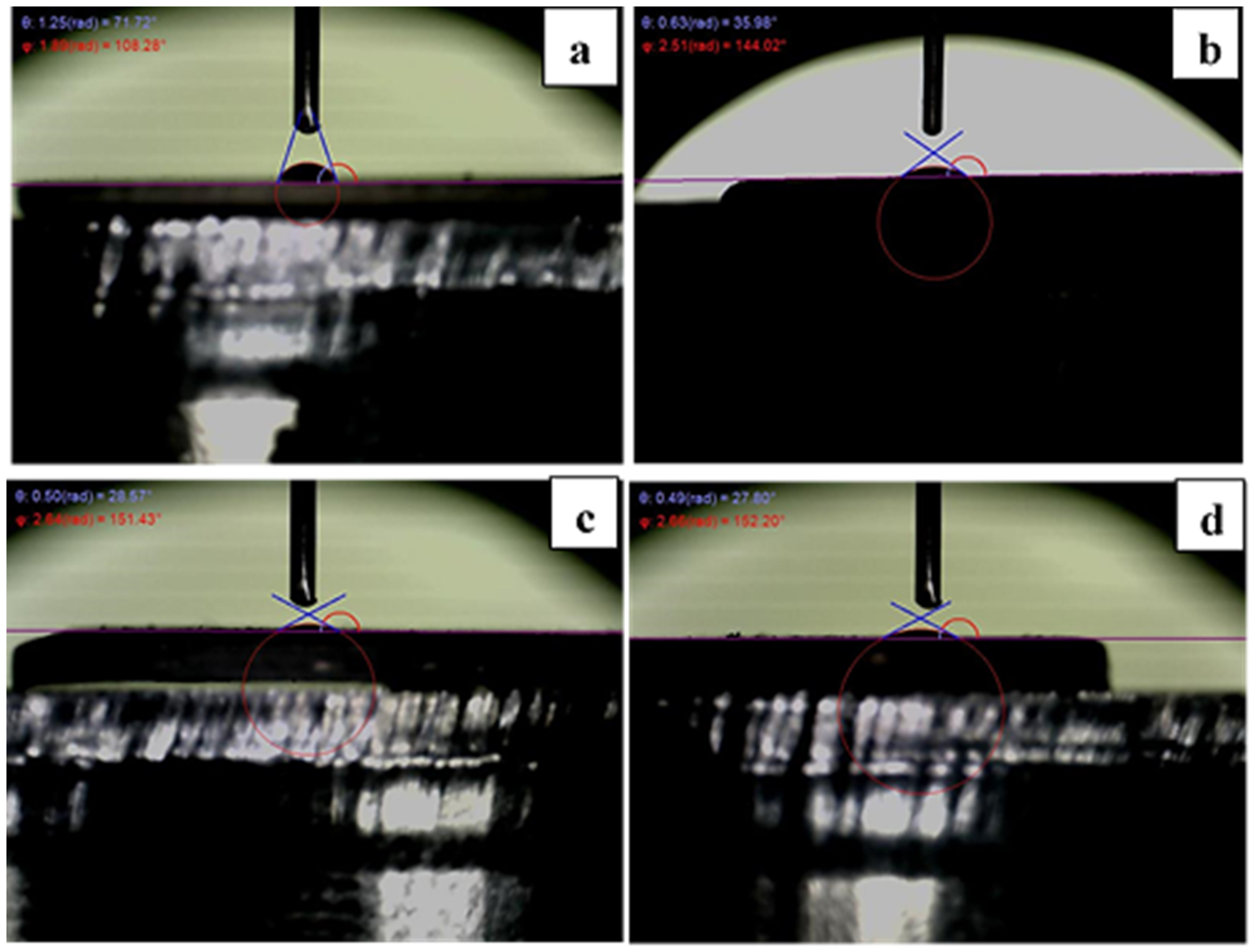 Coatings 13 01946 g004