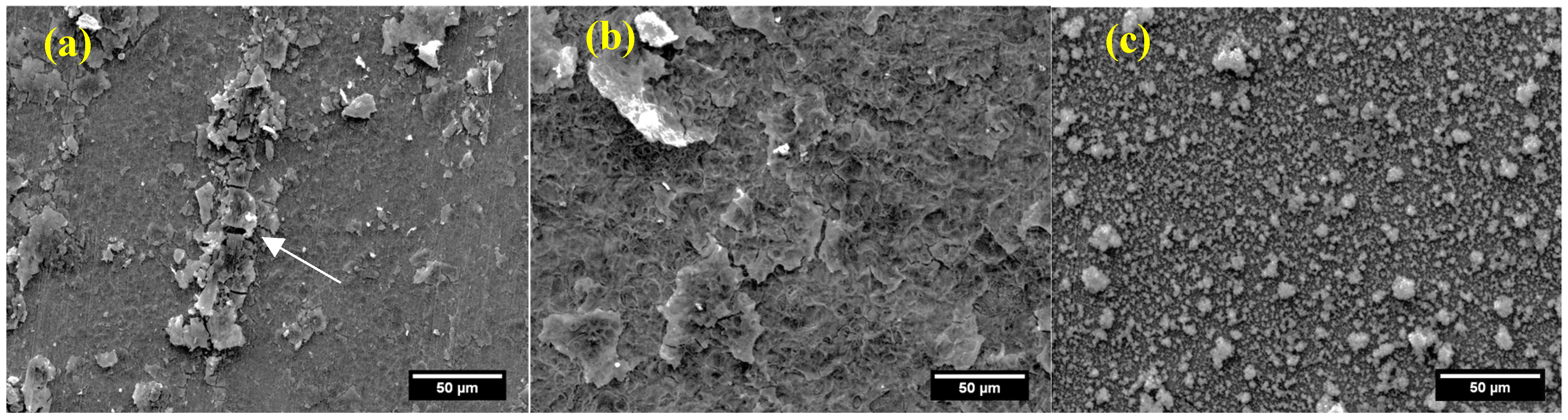 Coatings 13 01946 g008