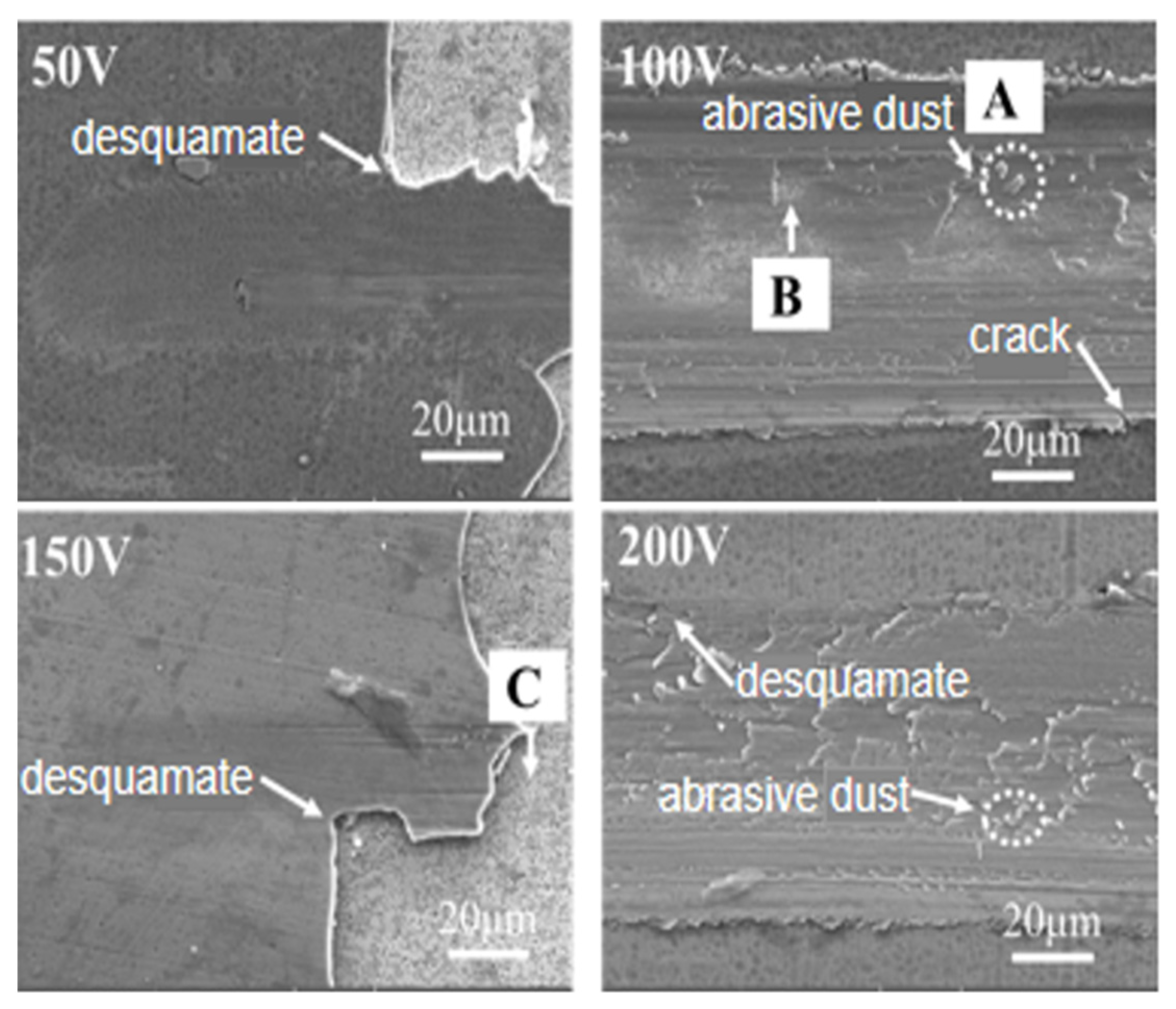 Effect of Bias Voltage on Structure, Mechanical Properties, and High ...