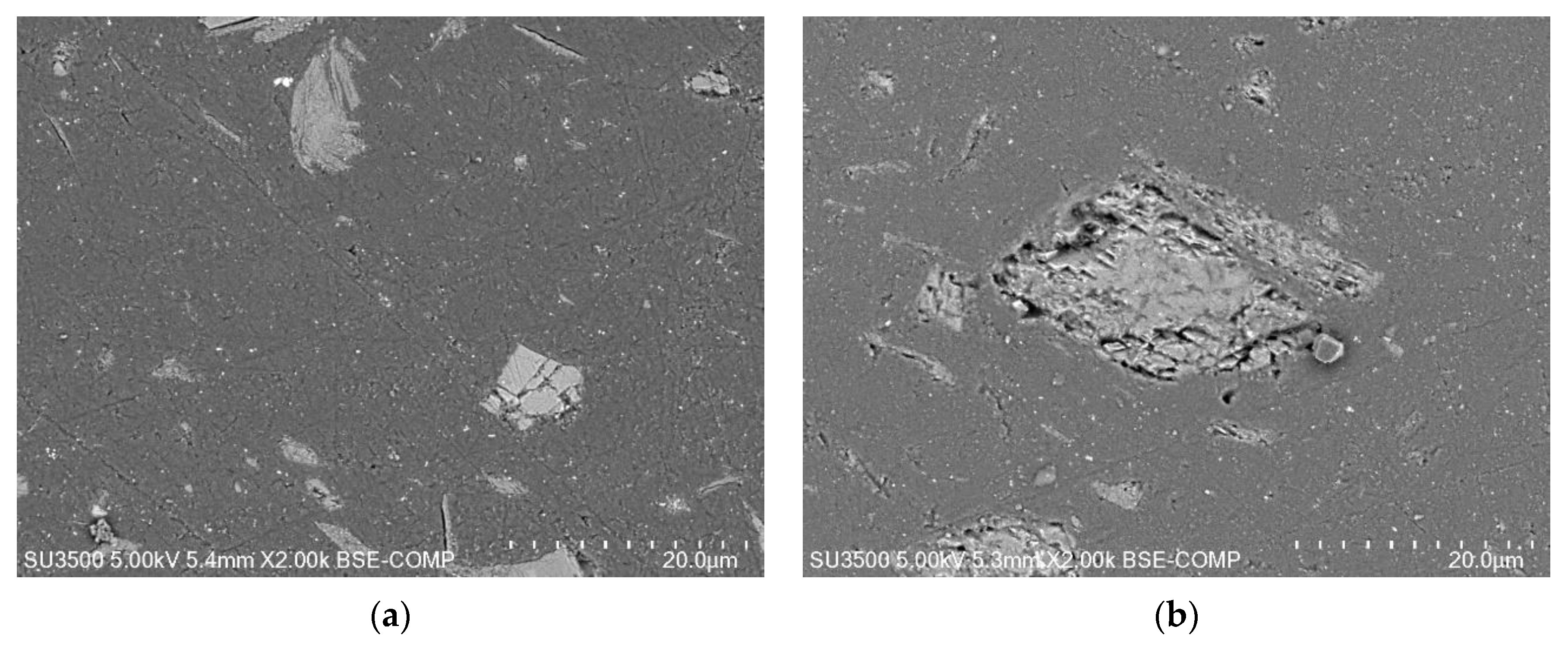 Coatings 13 01949 g005