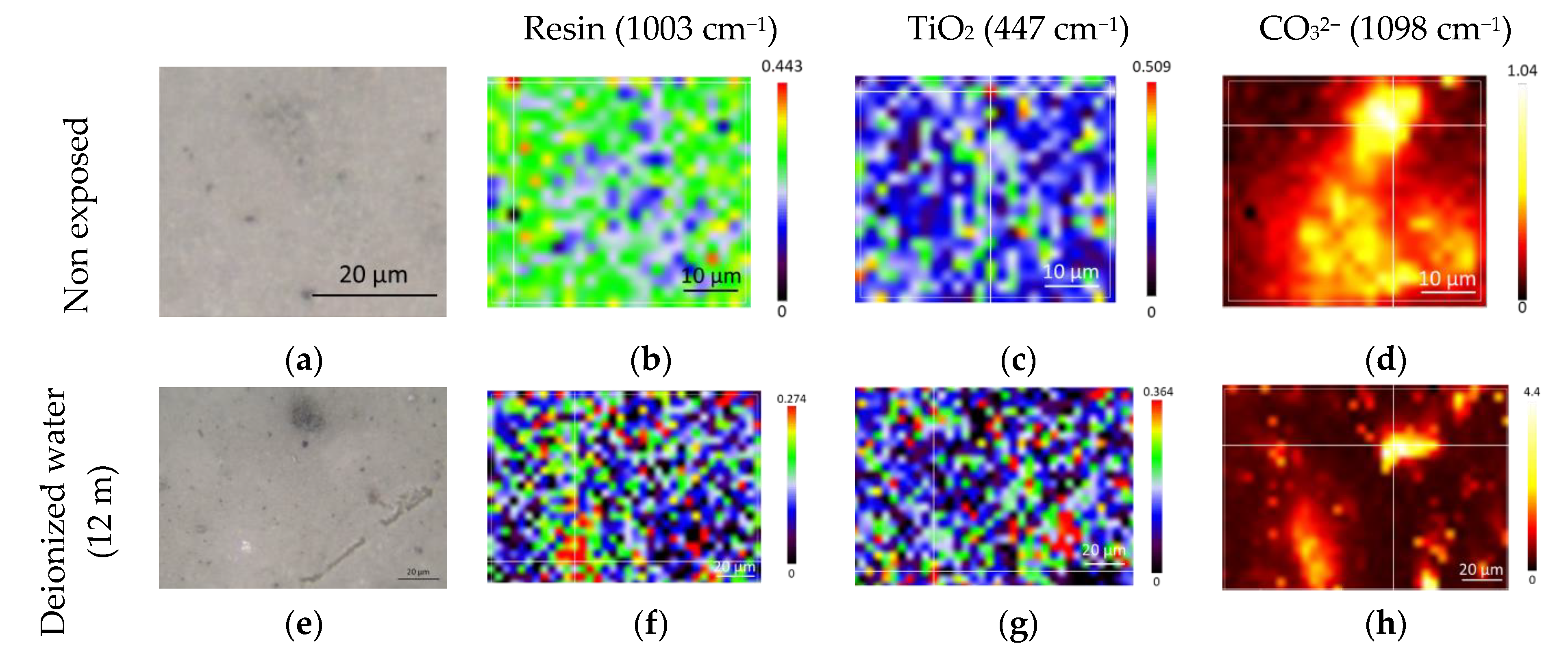 Coatings 13 01949 g006