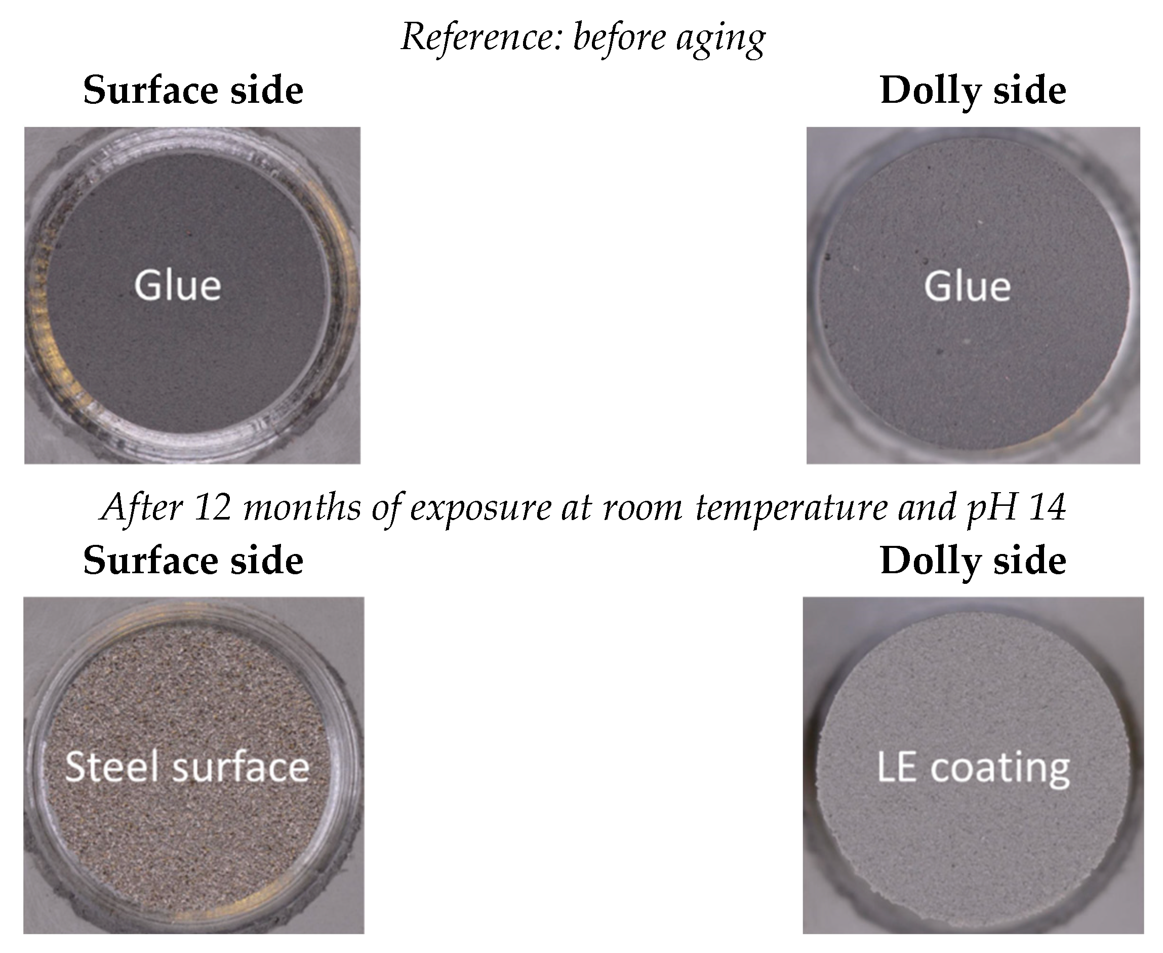 Coatings 13 01949 g015