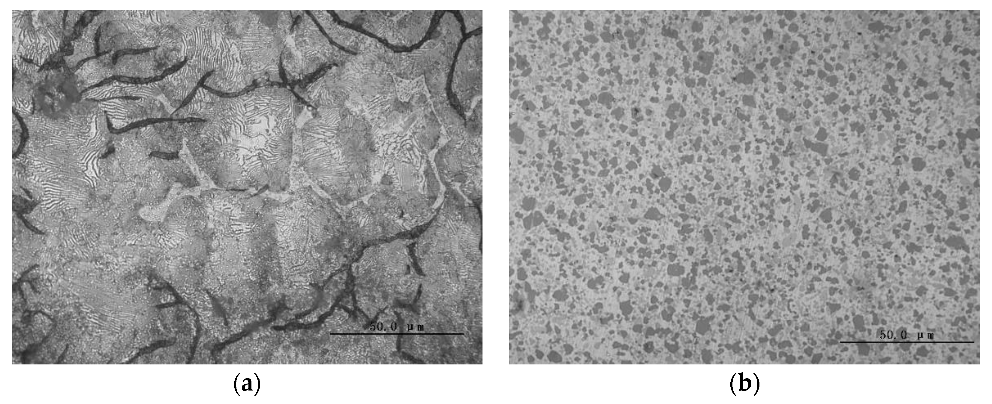 Coatings 13 01951 g002