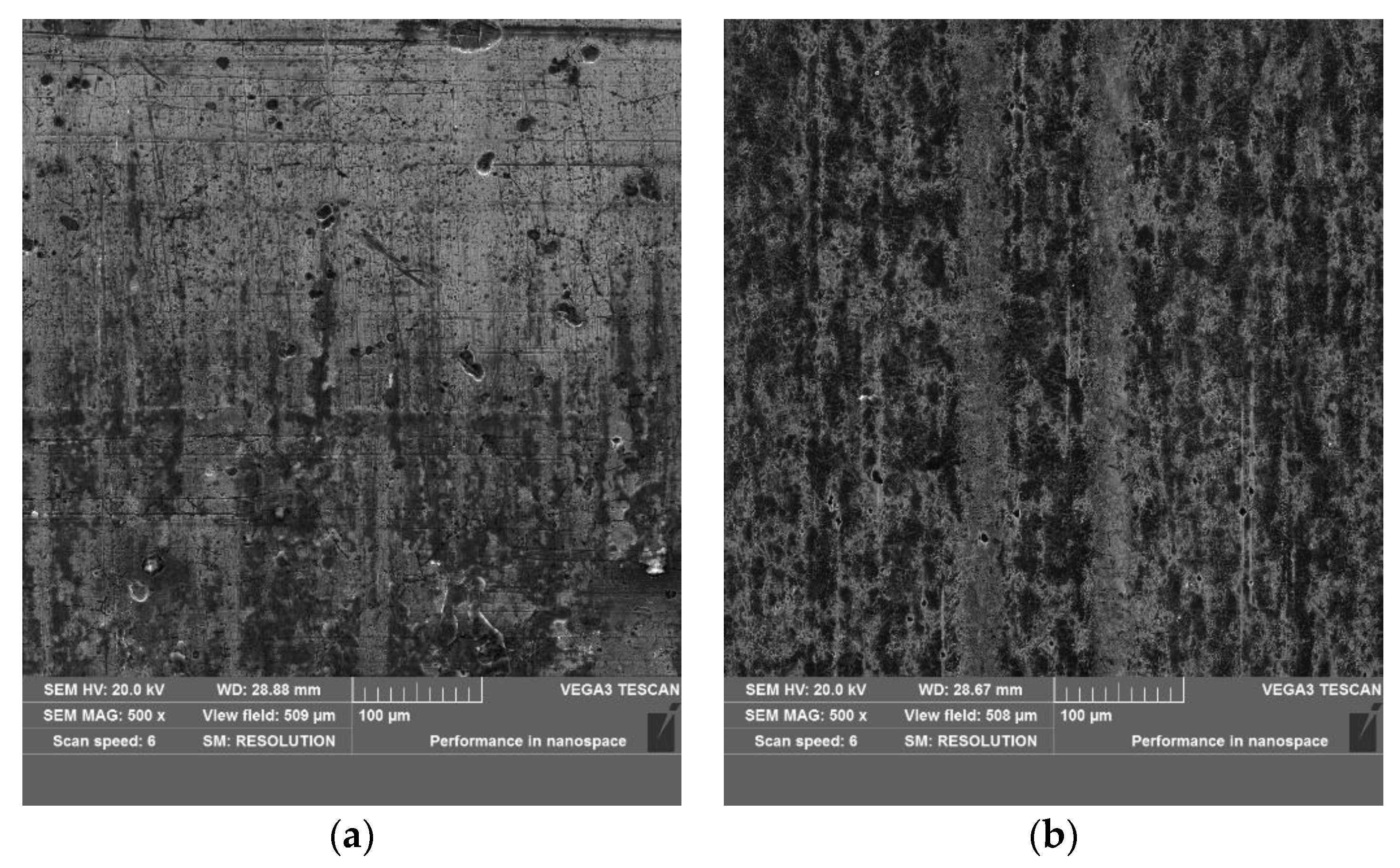 Coatings 13 01951 g008
