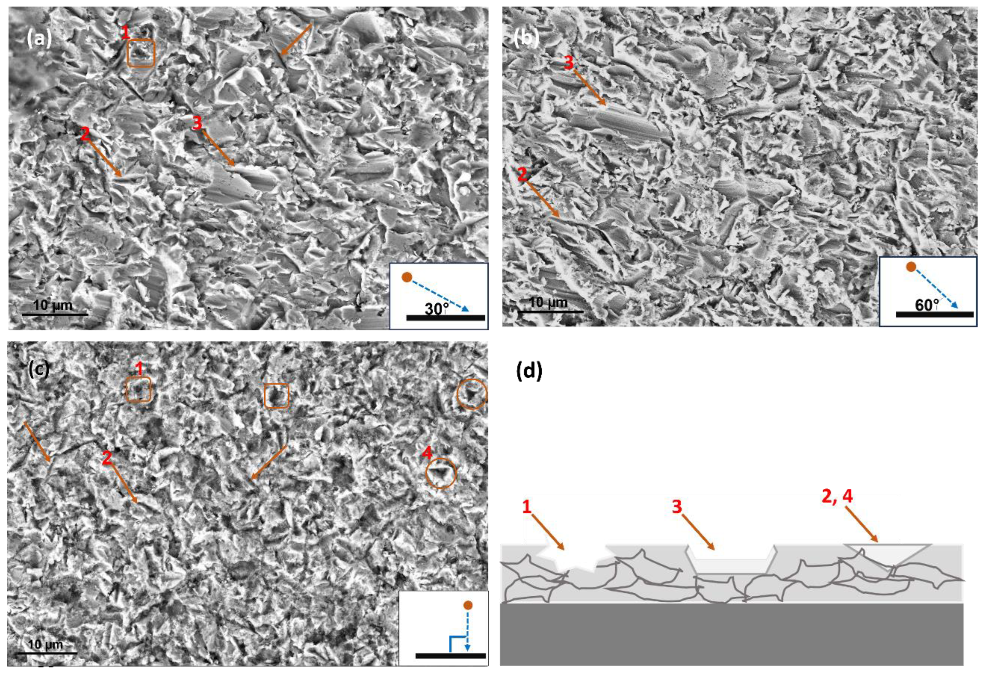 Coatings 13 01952 g014