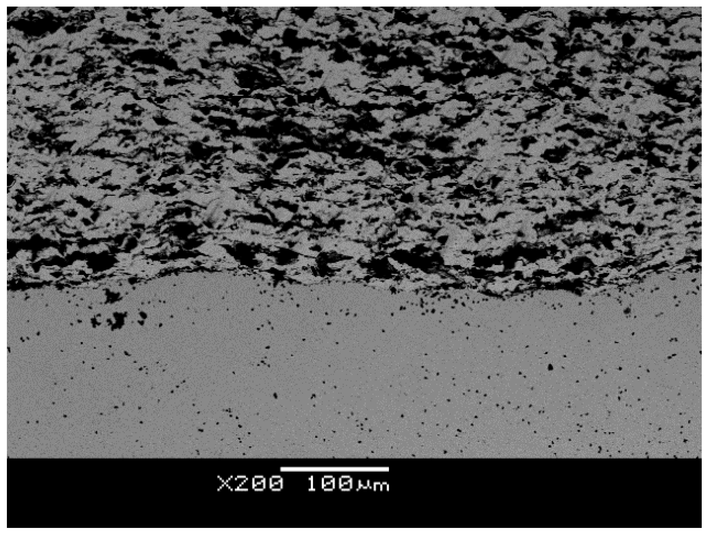 Coatings 13 01953 g011