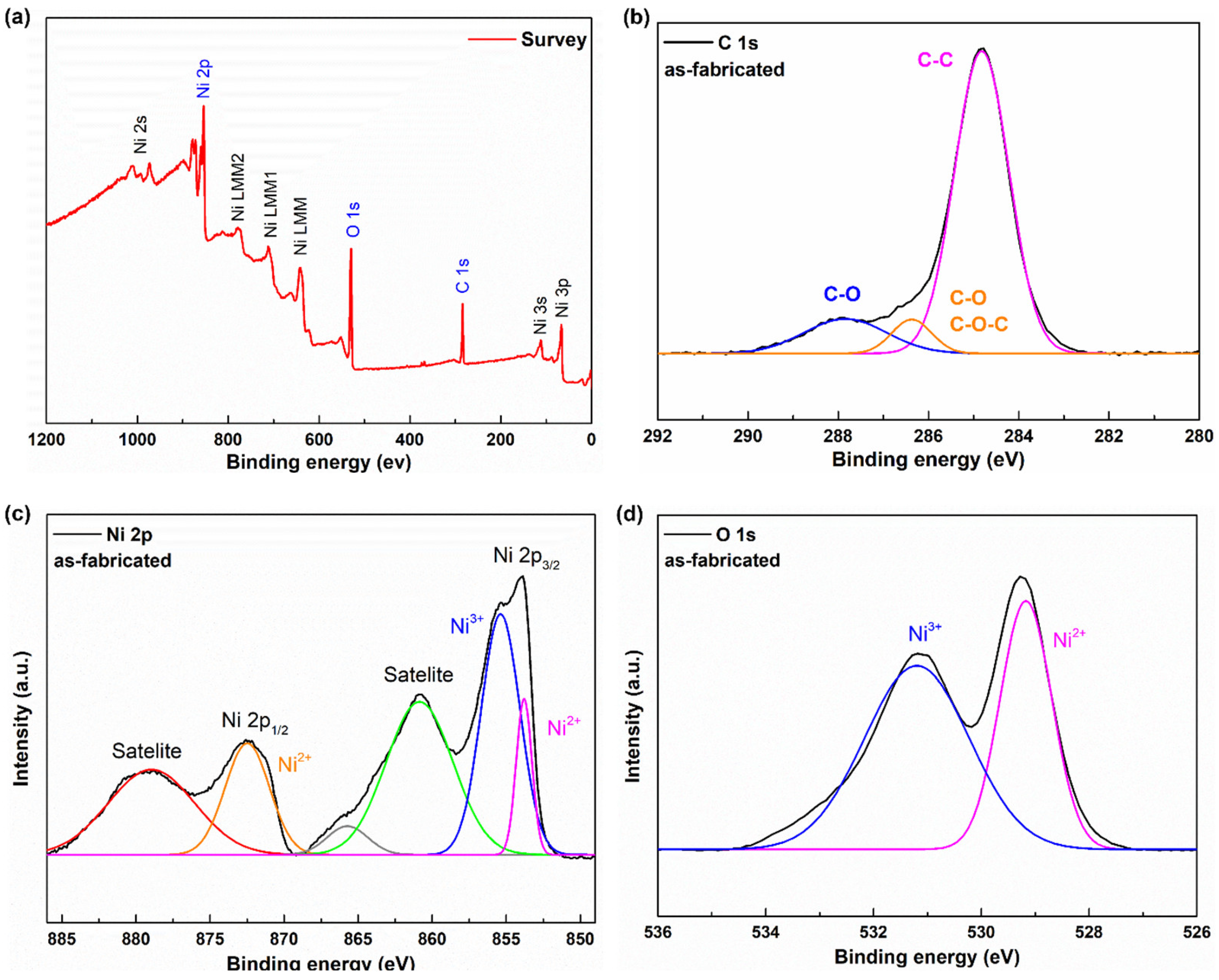 Coatings 13 01954 g015a
