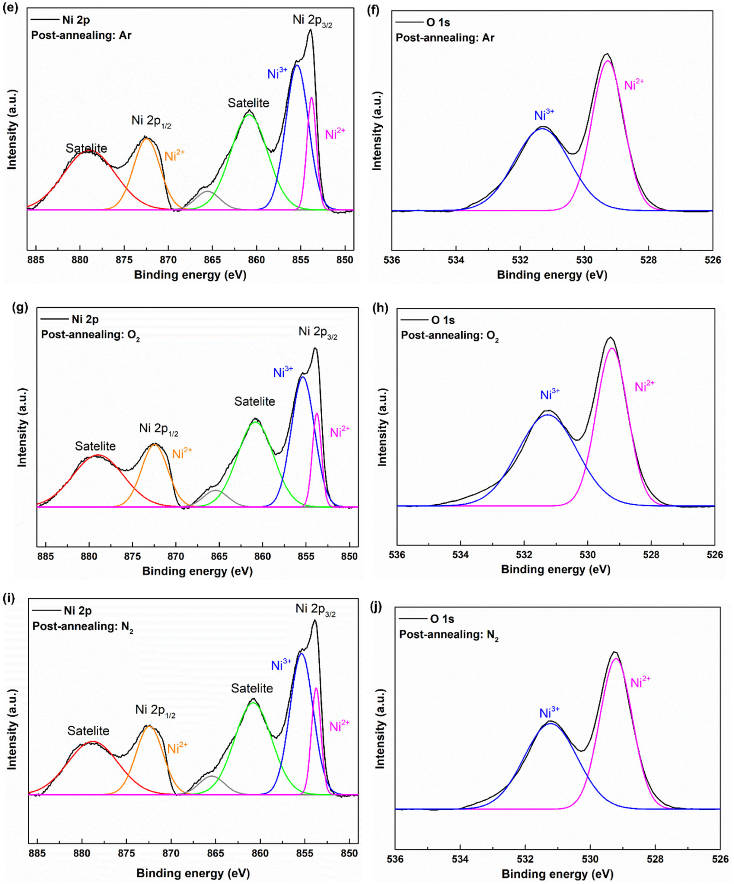 Coatings 13 01954 g015b