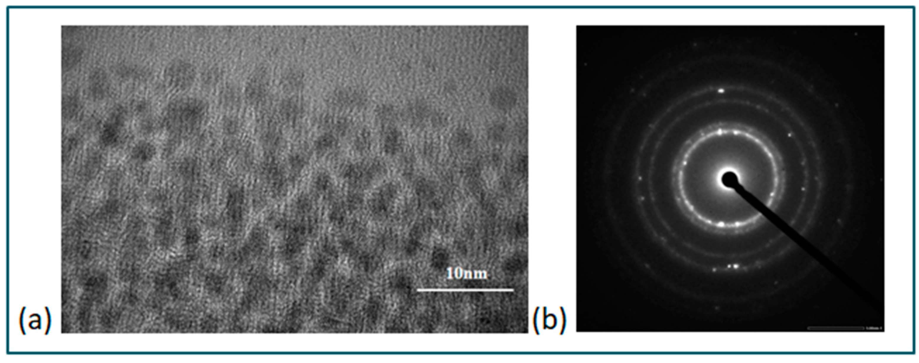 Coatings 13 01956 g004