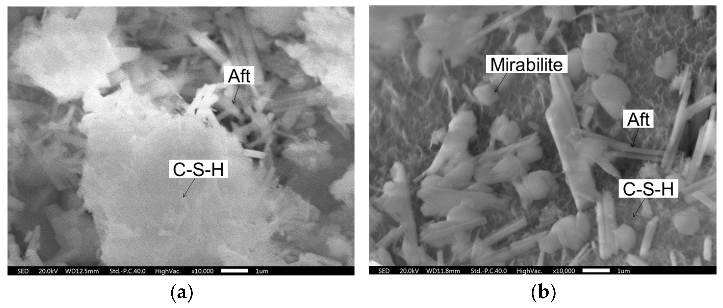 Coatings 13 01958 g007