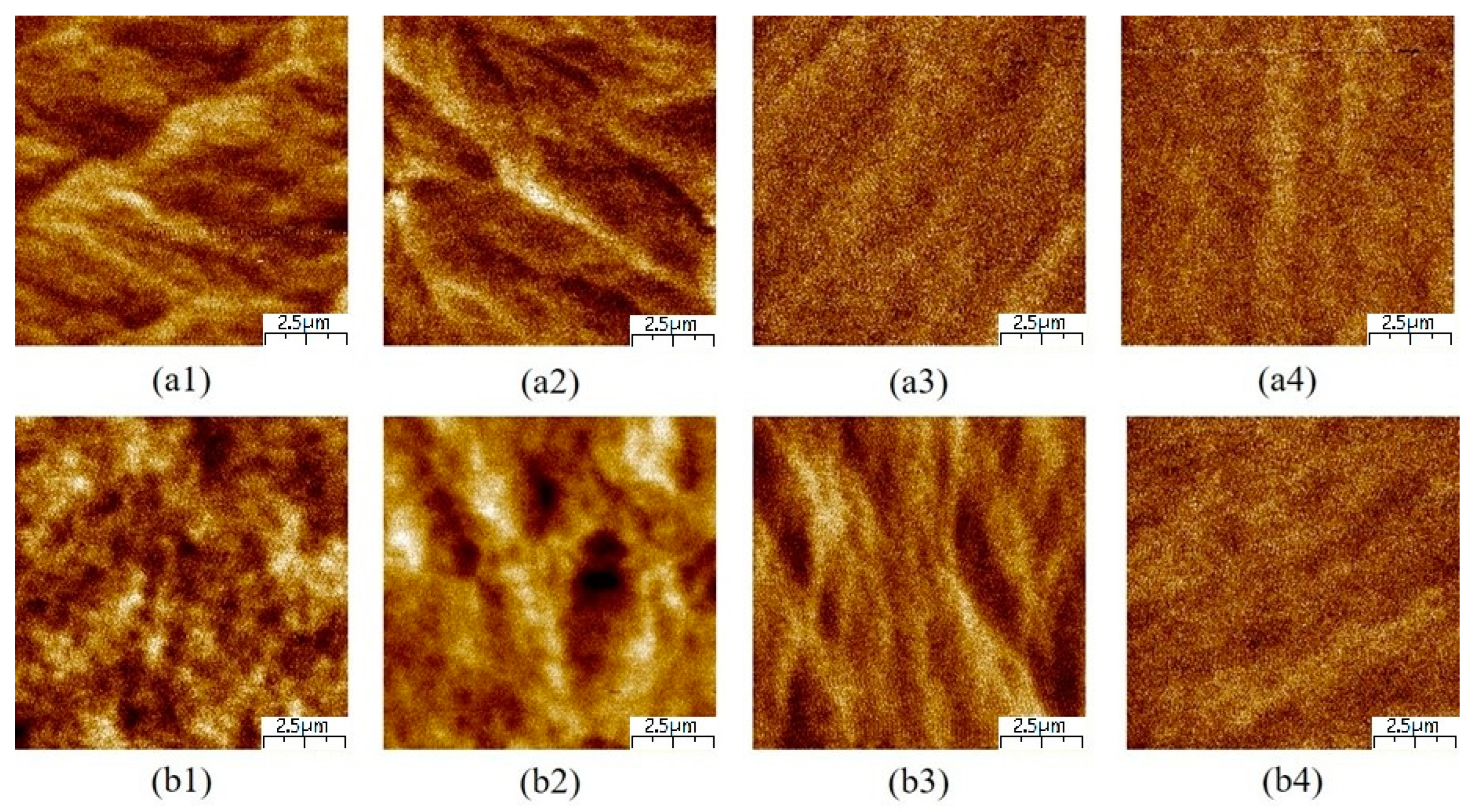 Coatings 13 01961 g008