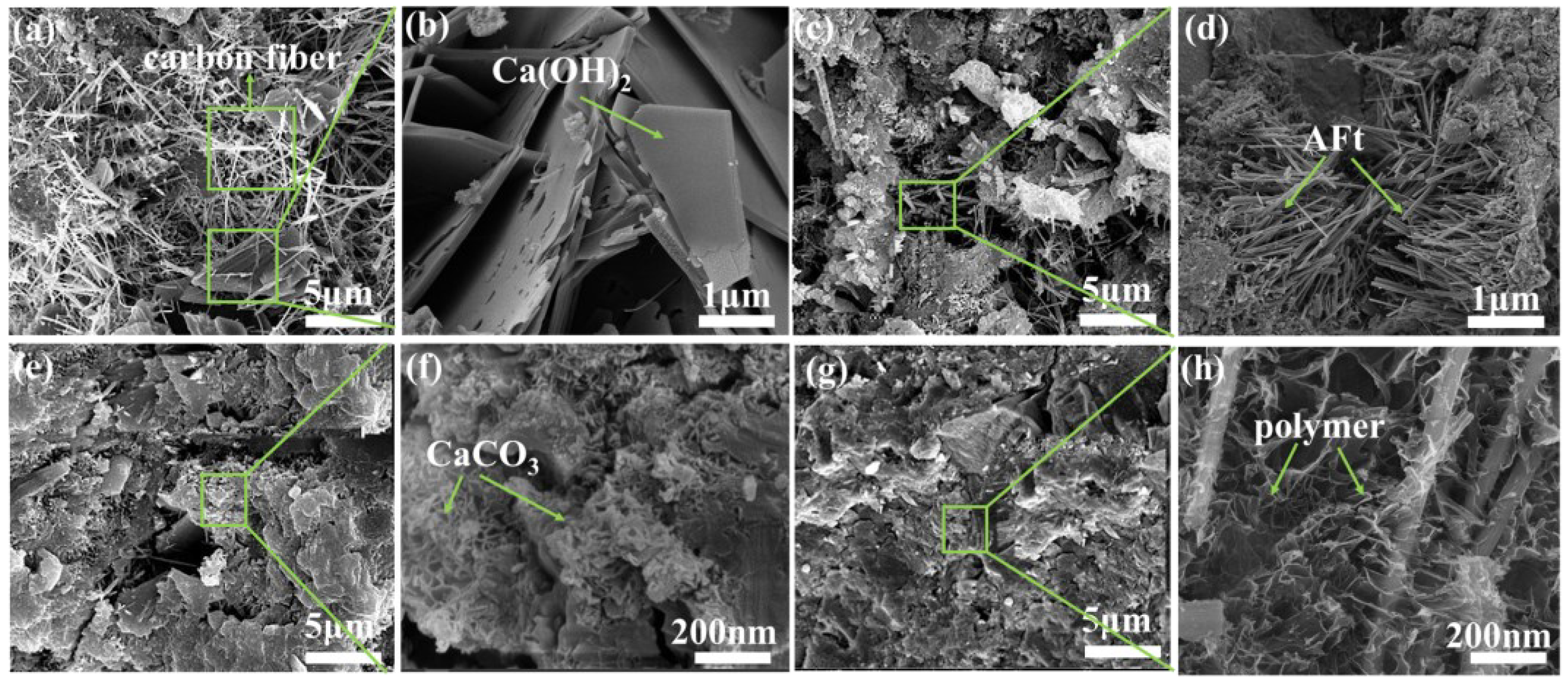 Coatings 13 01964 g005