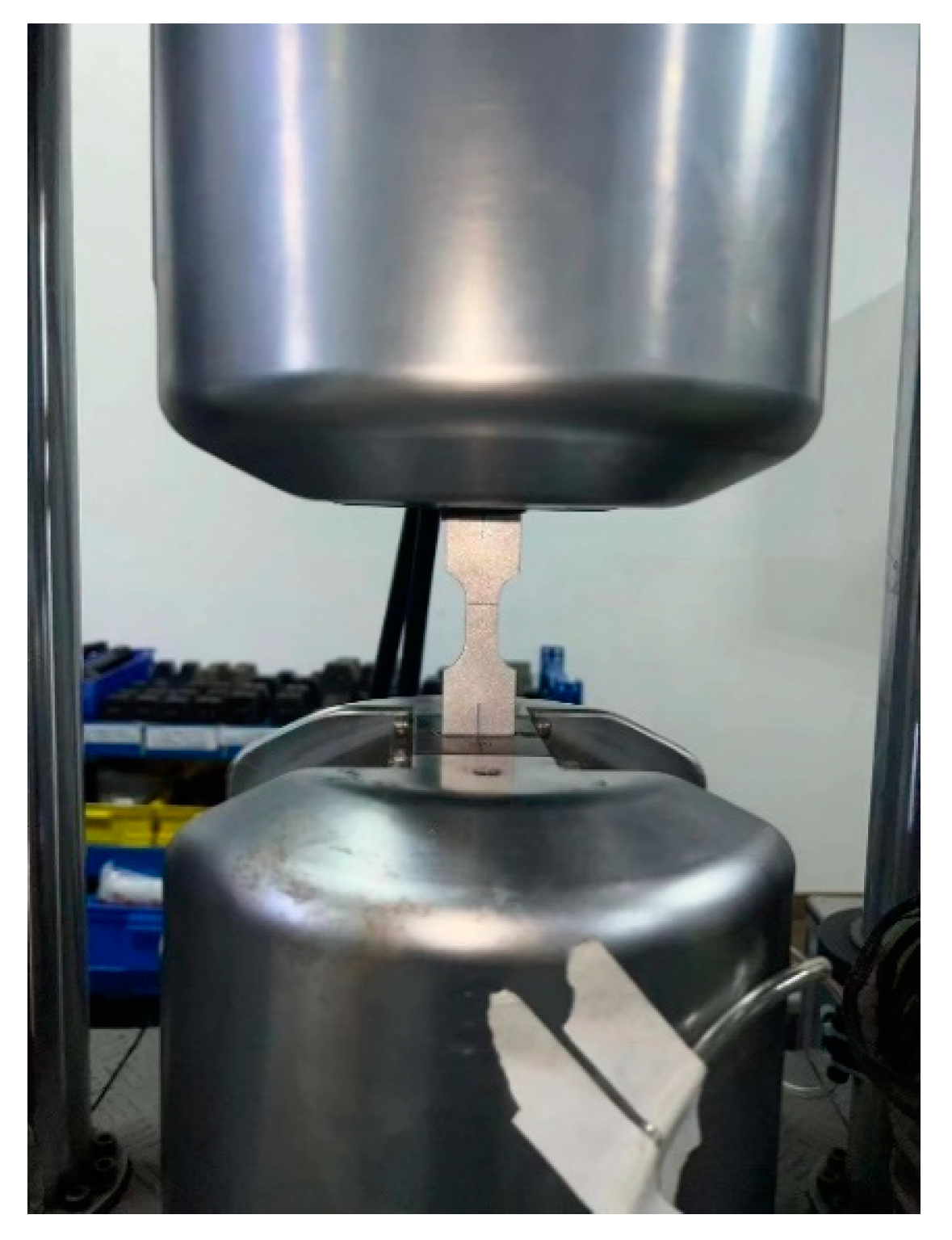 Coatings 13 01969 g006