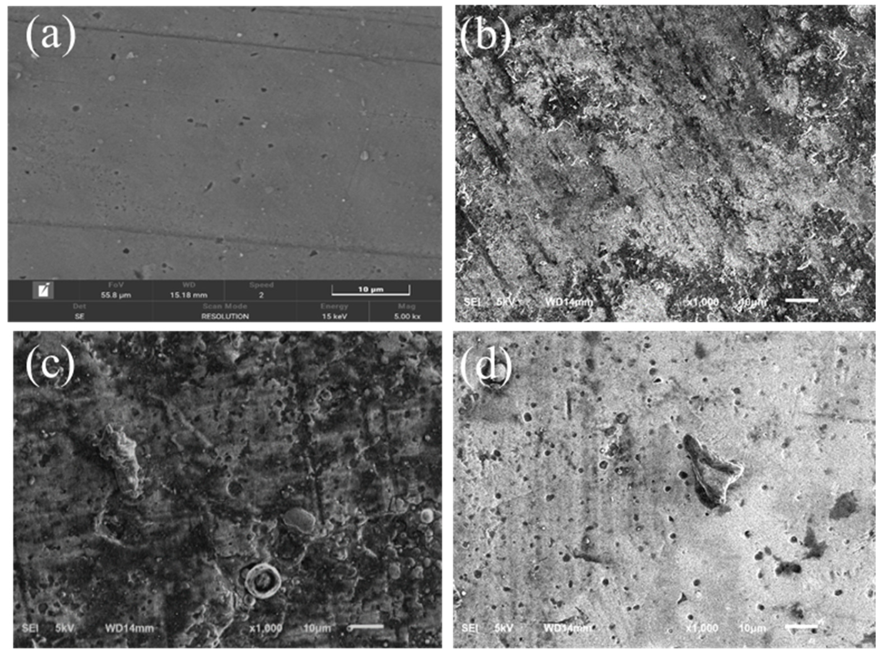 Coatings 13 01972 g007