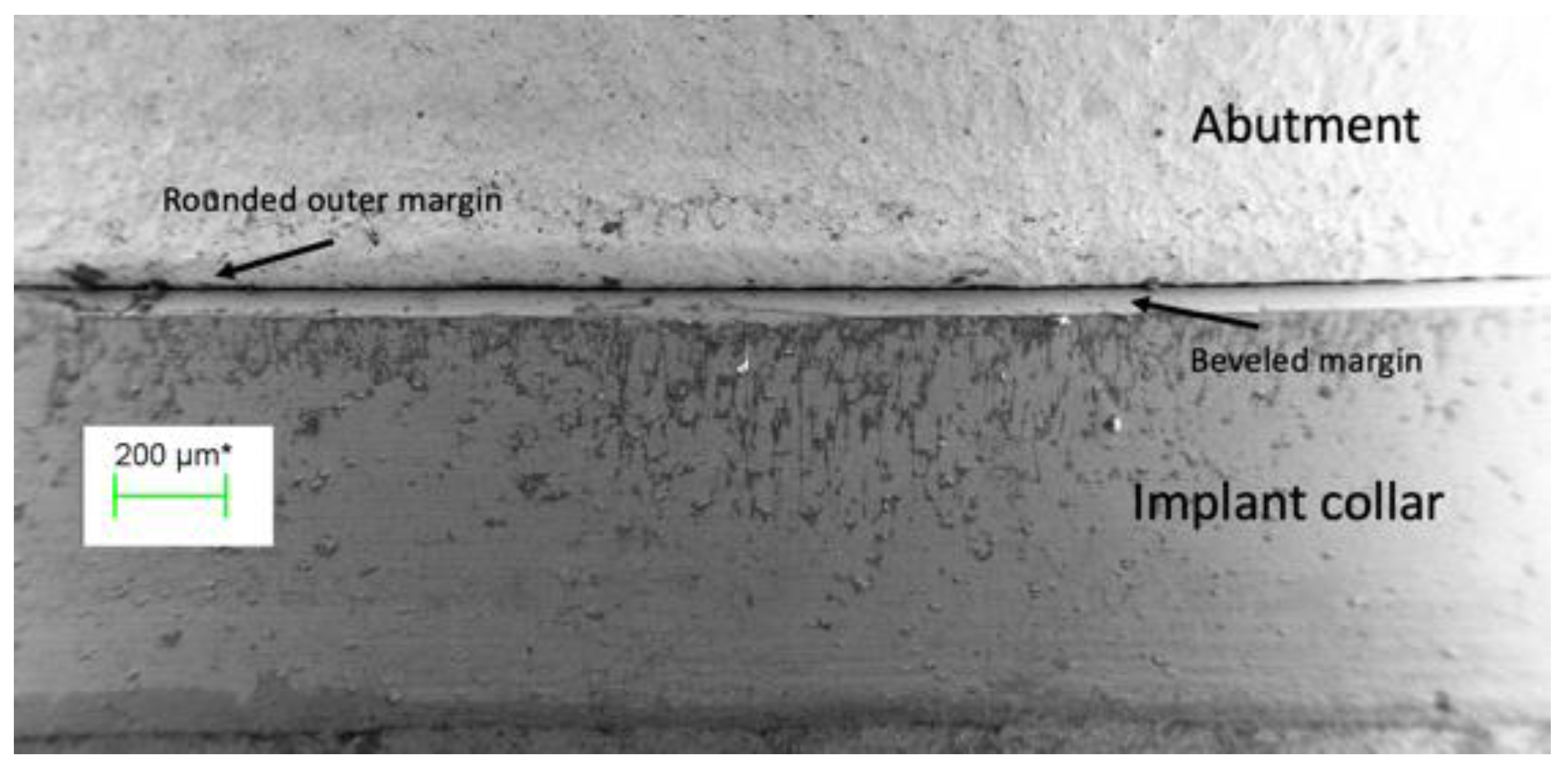 Coatings 13 01976 g004