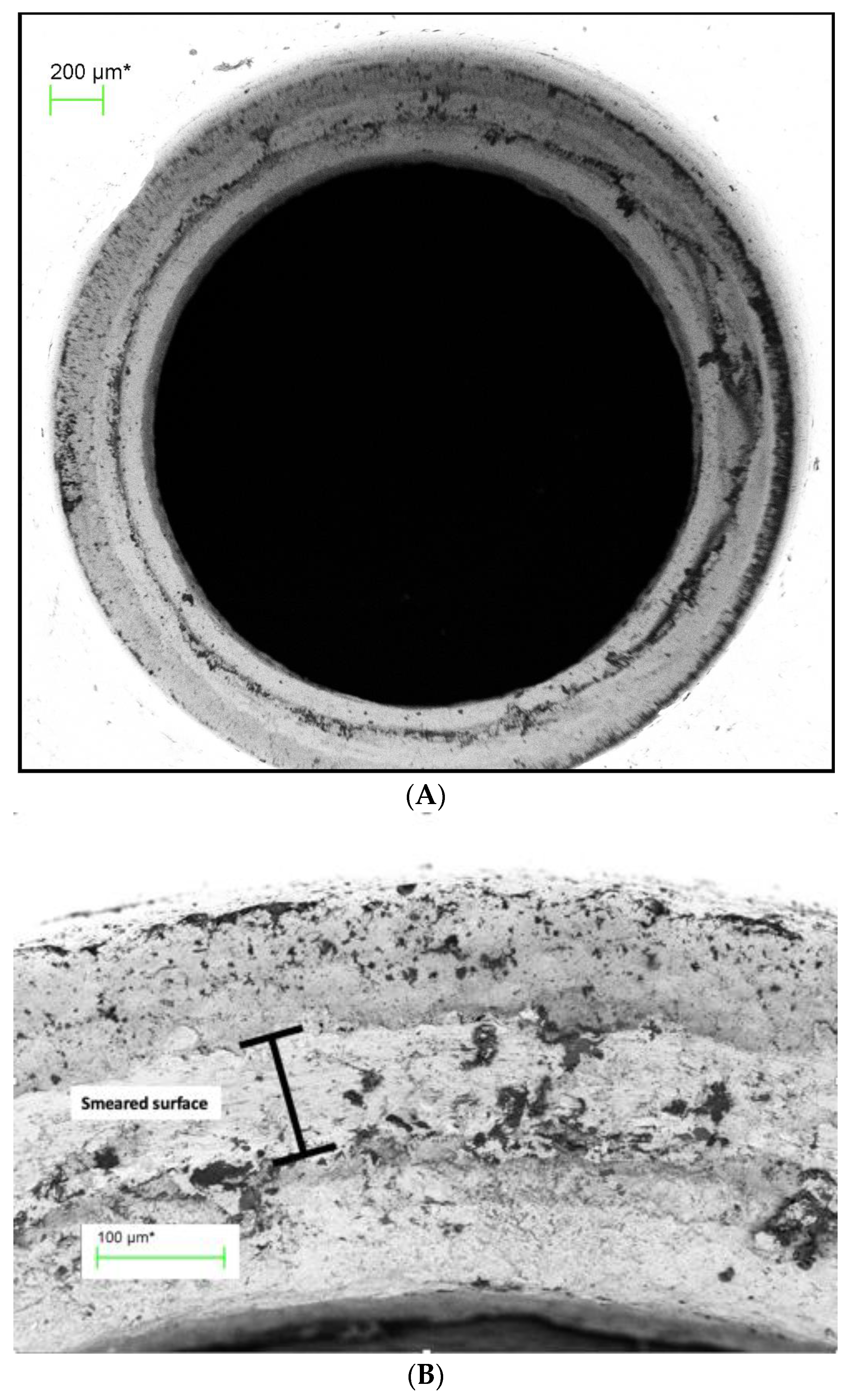 Coatings 13 01976 g007