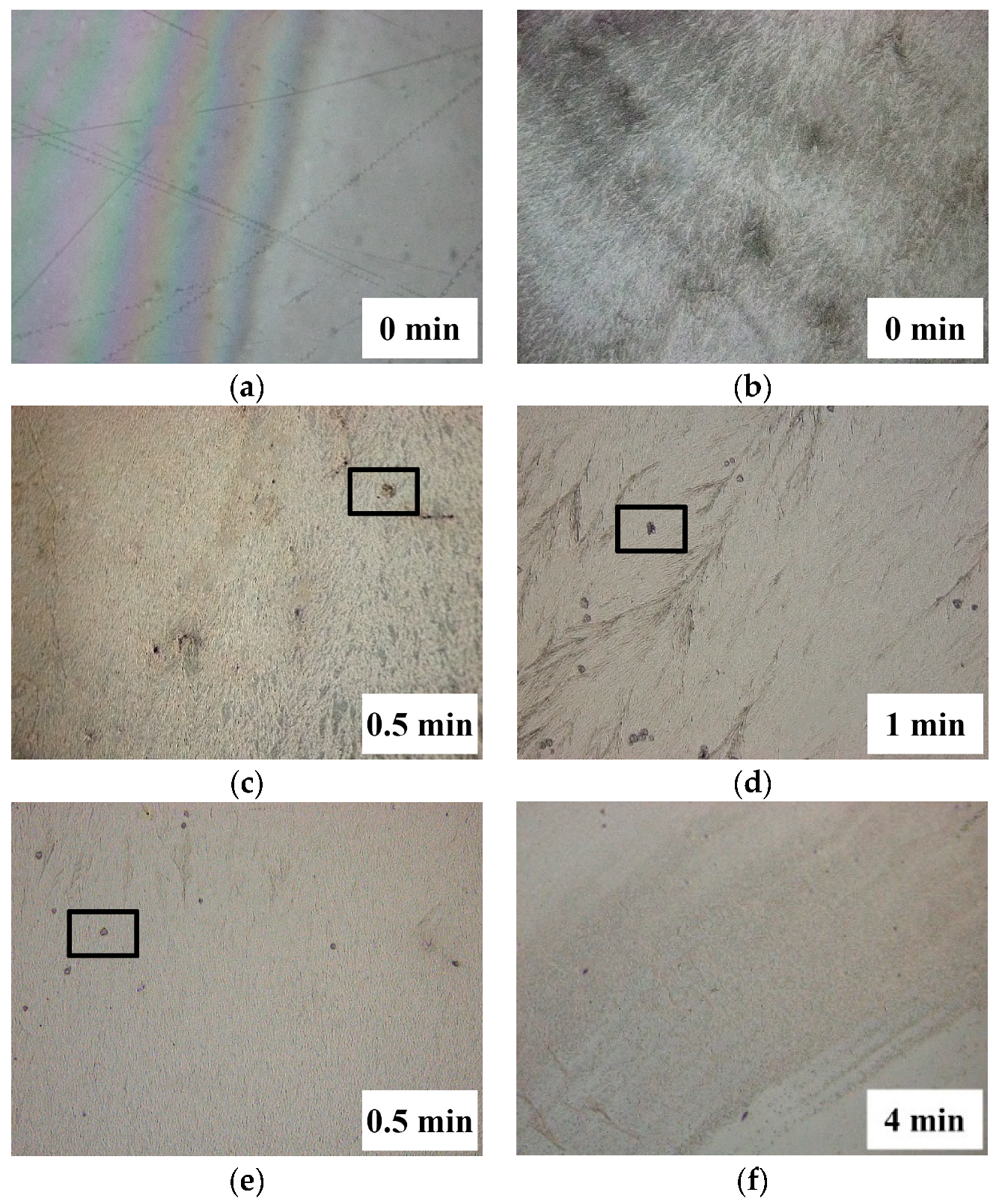 Coatings 13 01977 g003