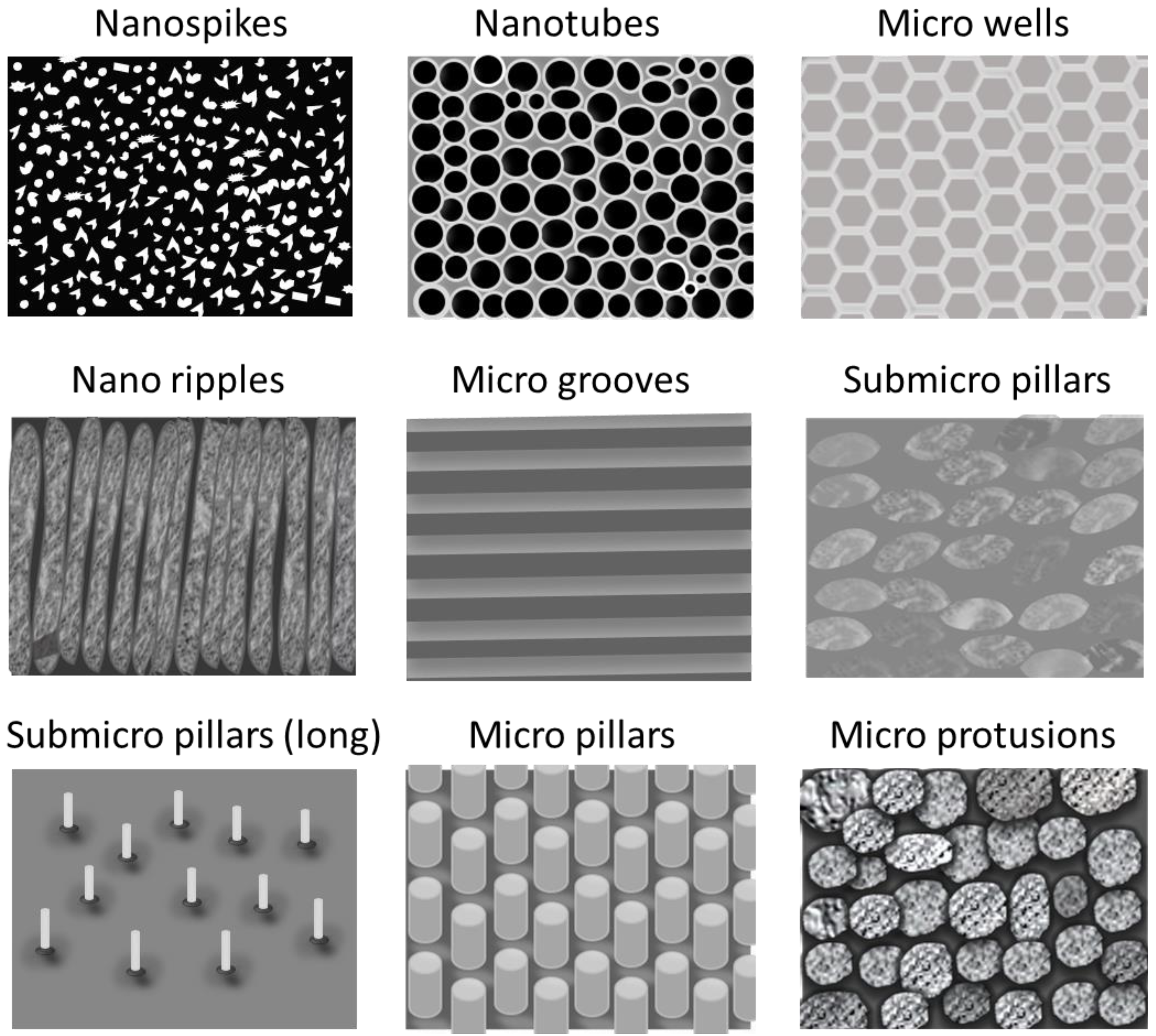 Coatings 13 01981 g003