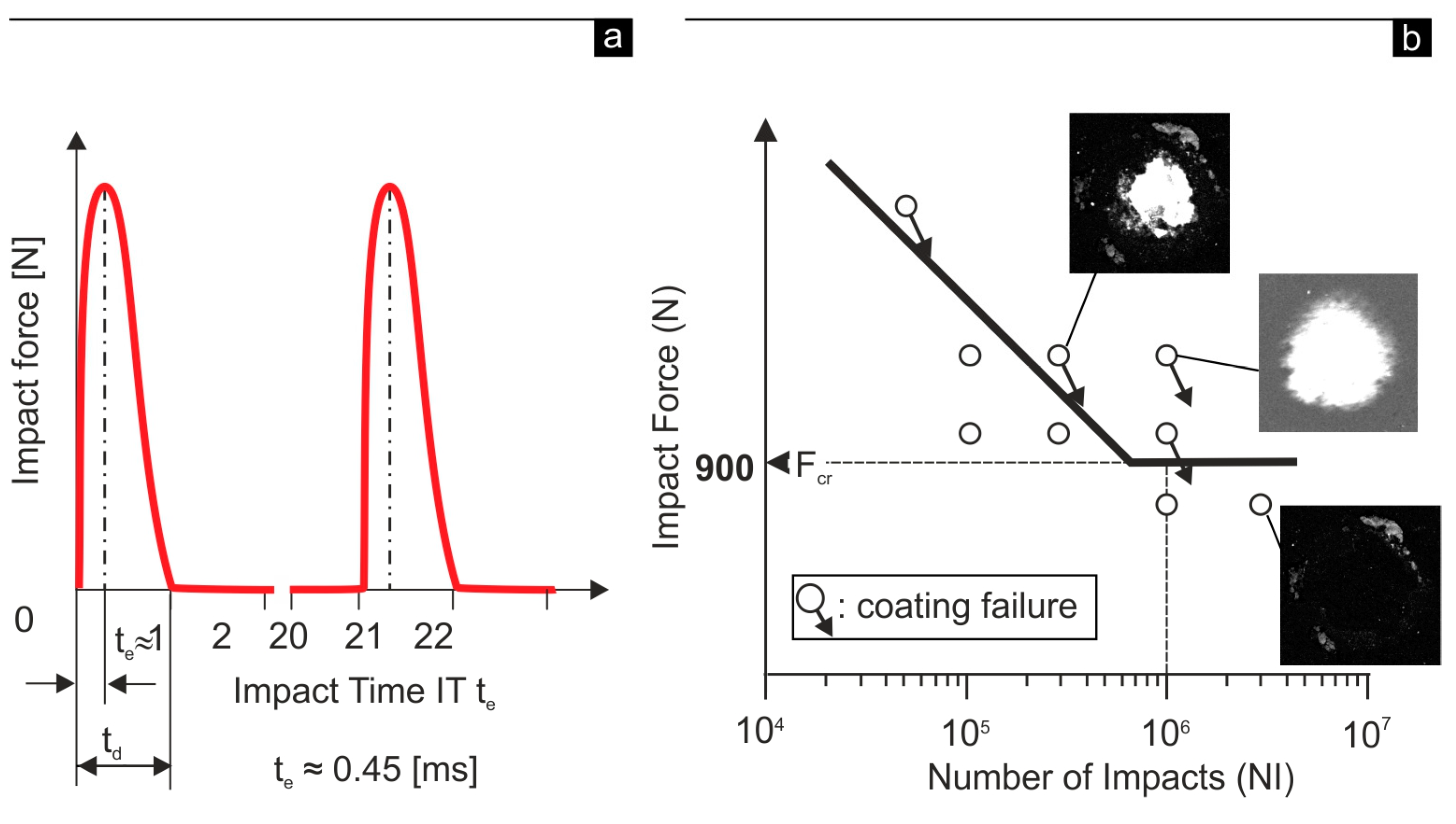 Coatings 13 01982 g003