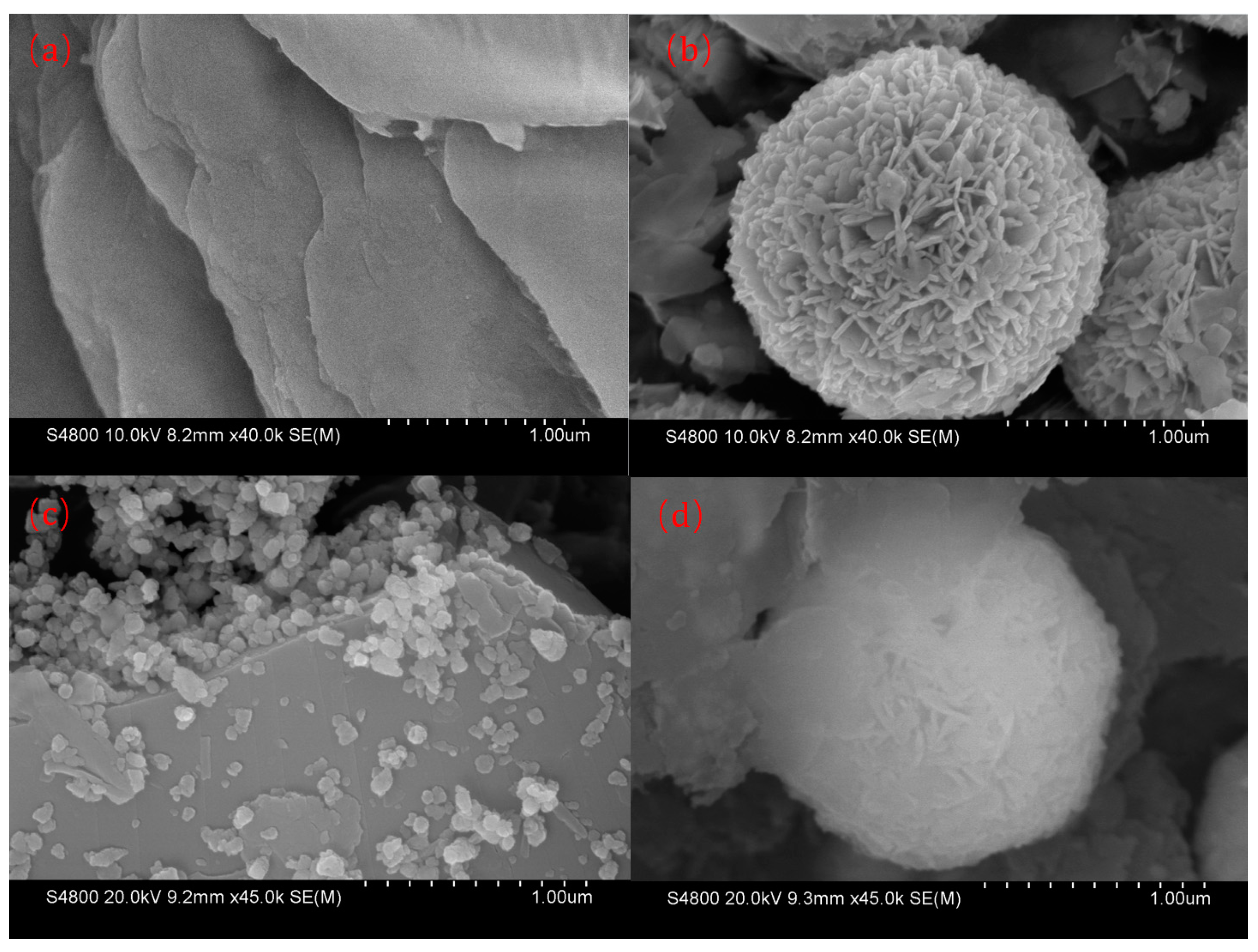 Coatings 13 01983 g005