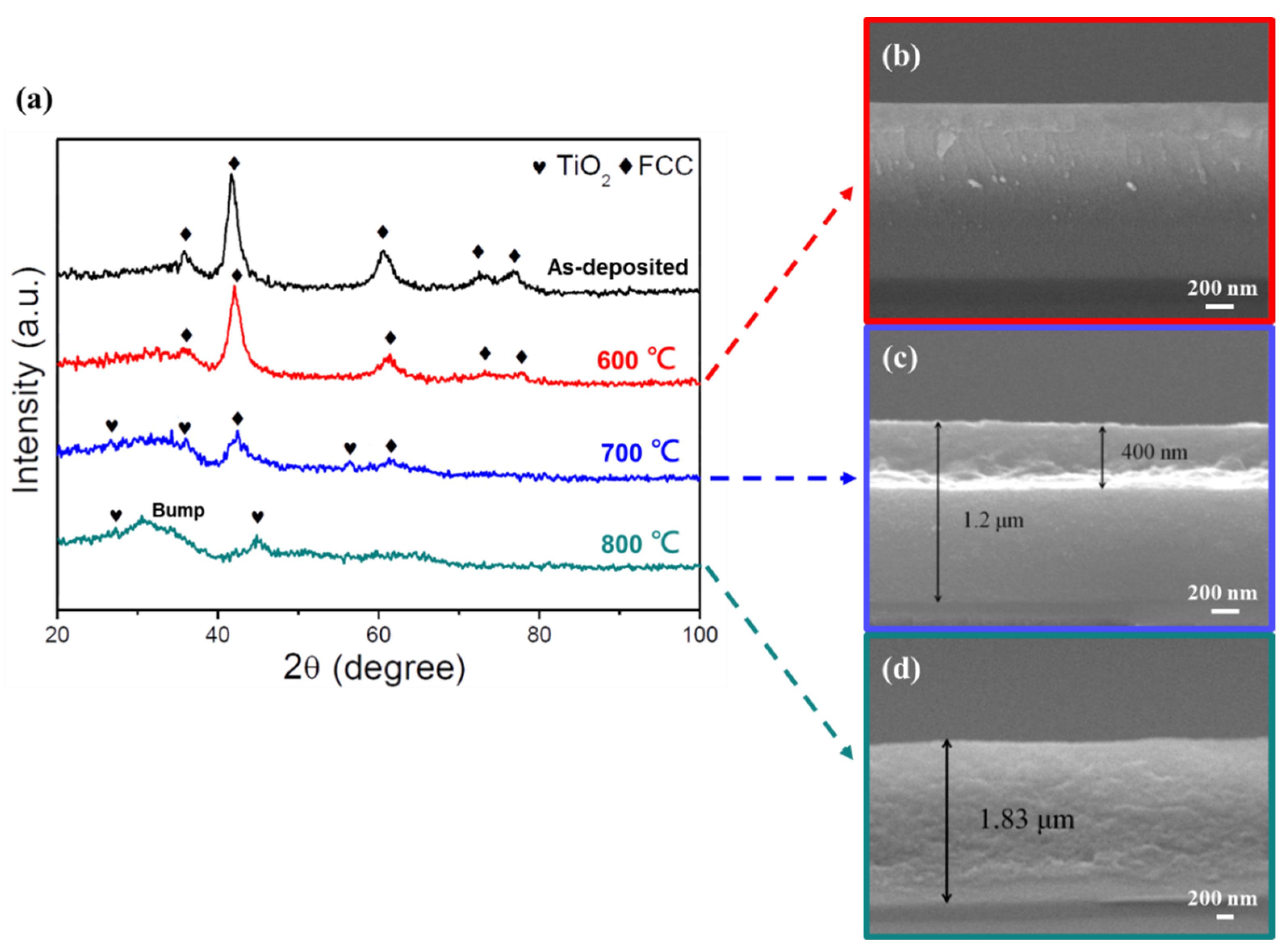 Coatings 13 01985 g009