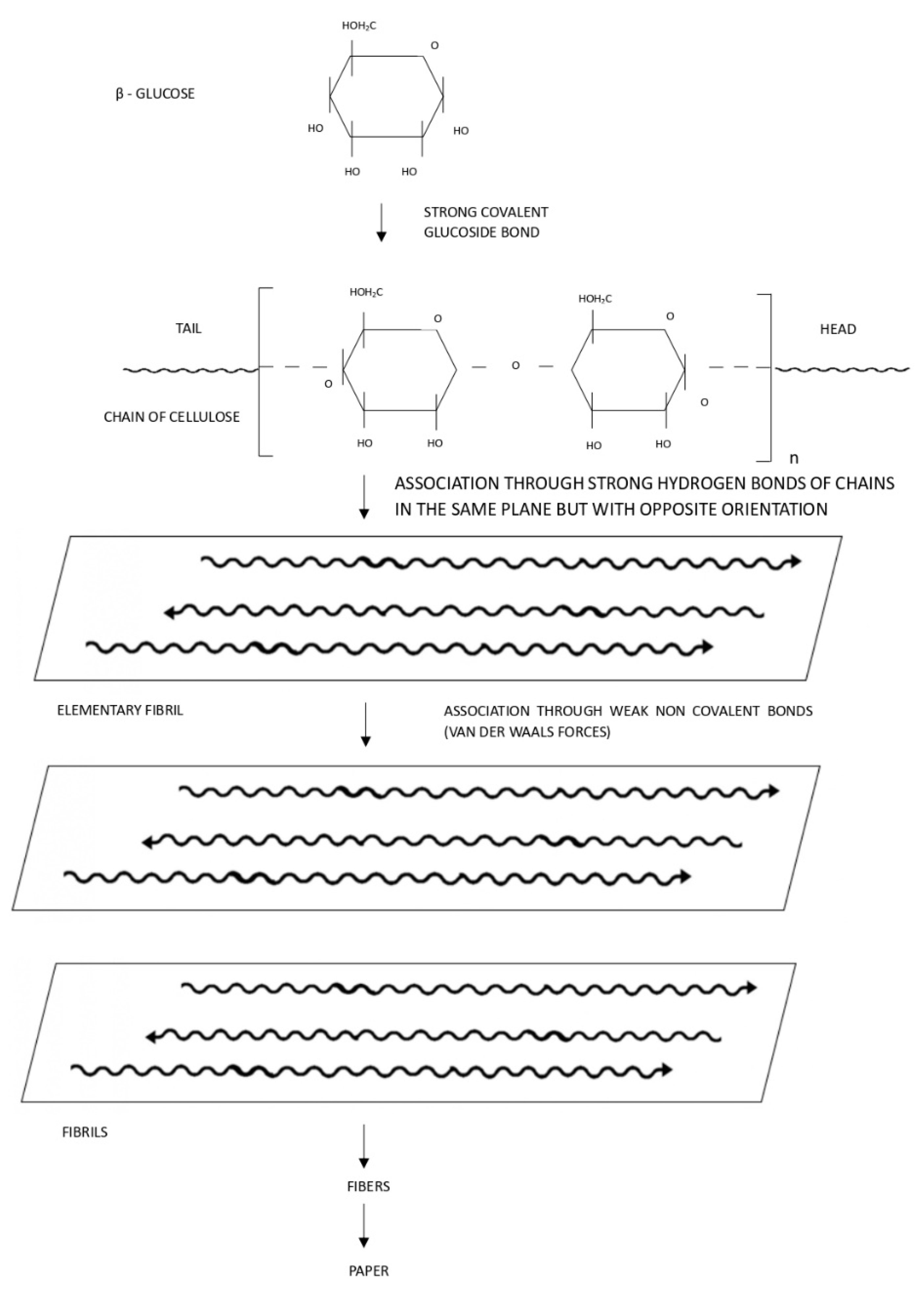 Coatings 13 01986 g001