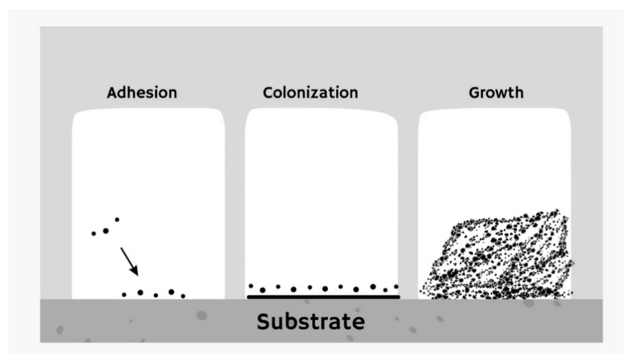 Coatings 13 01986 g002