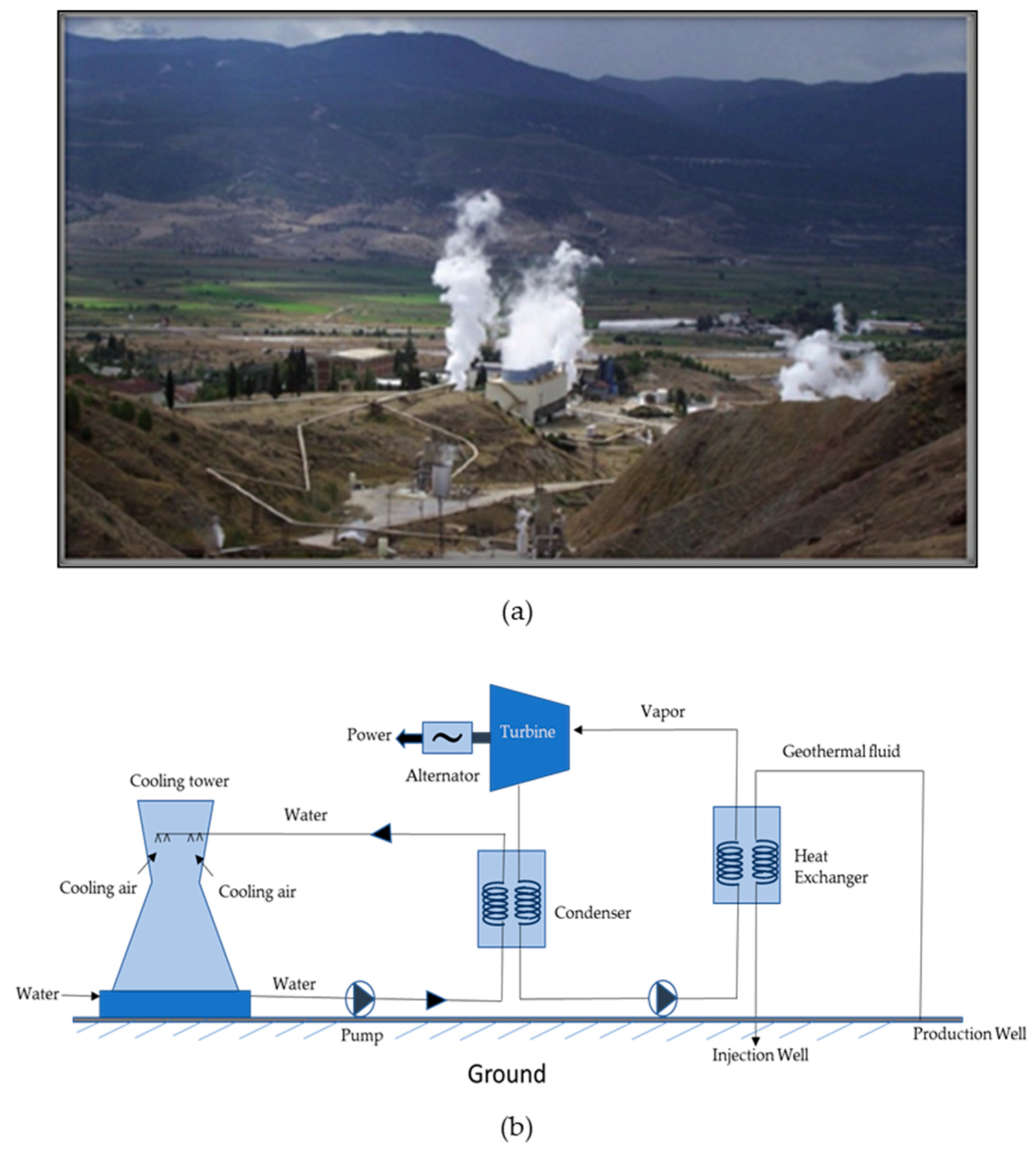 Coatings 13 01988 g001