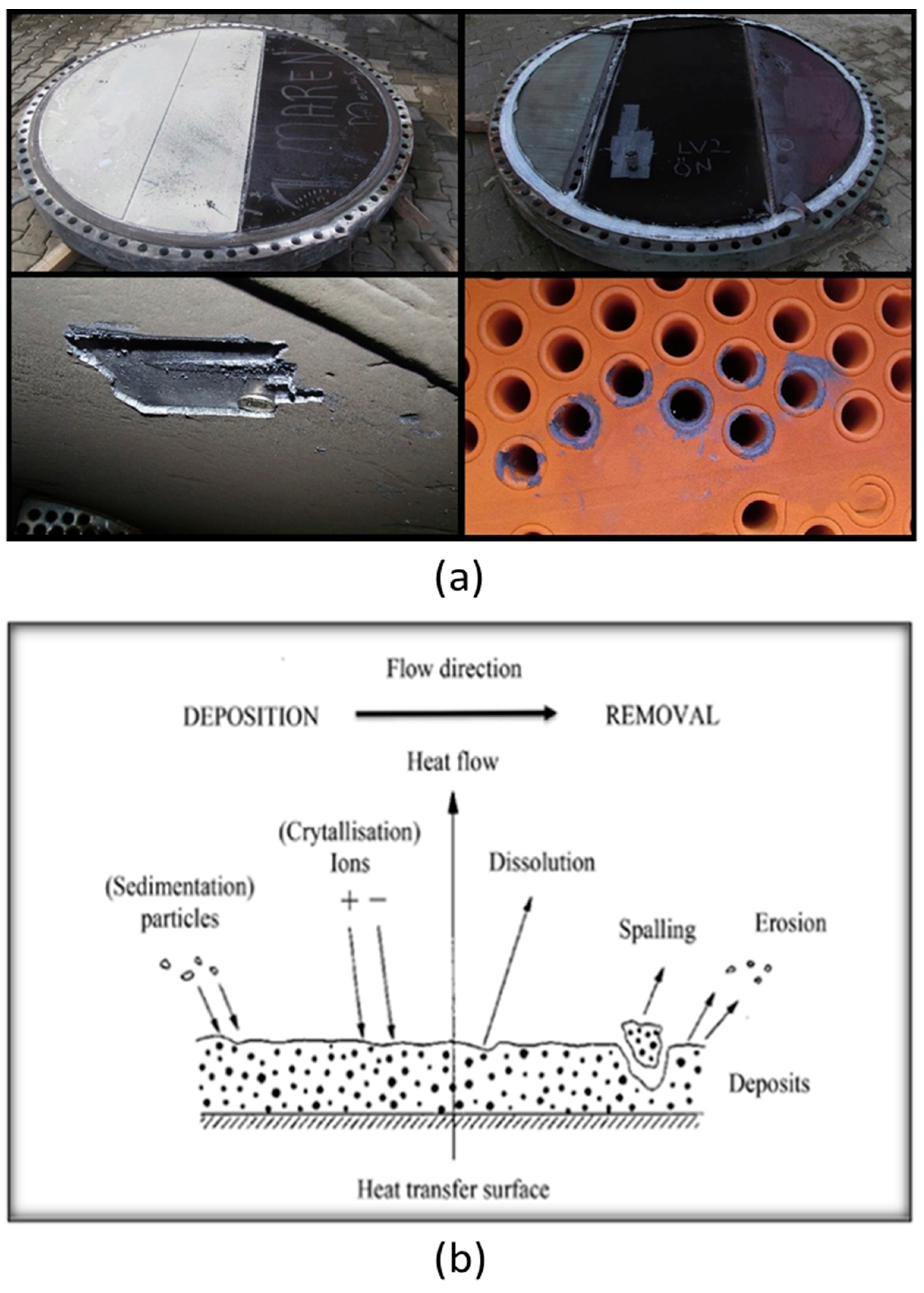 Coatings 13 01988 g002