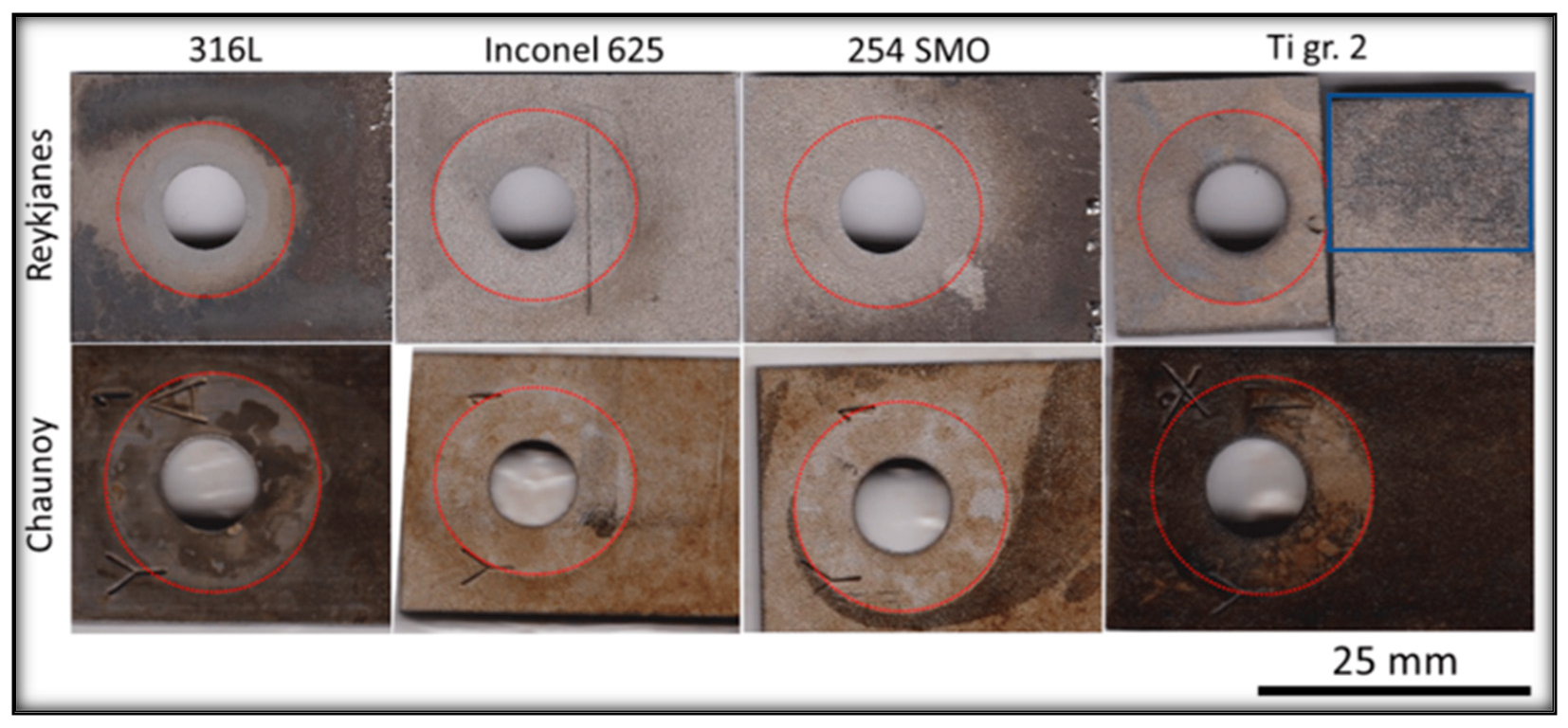 Coatings 13 01988 g004