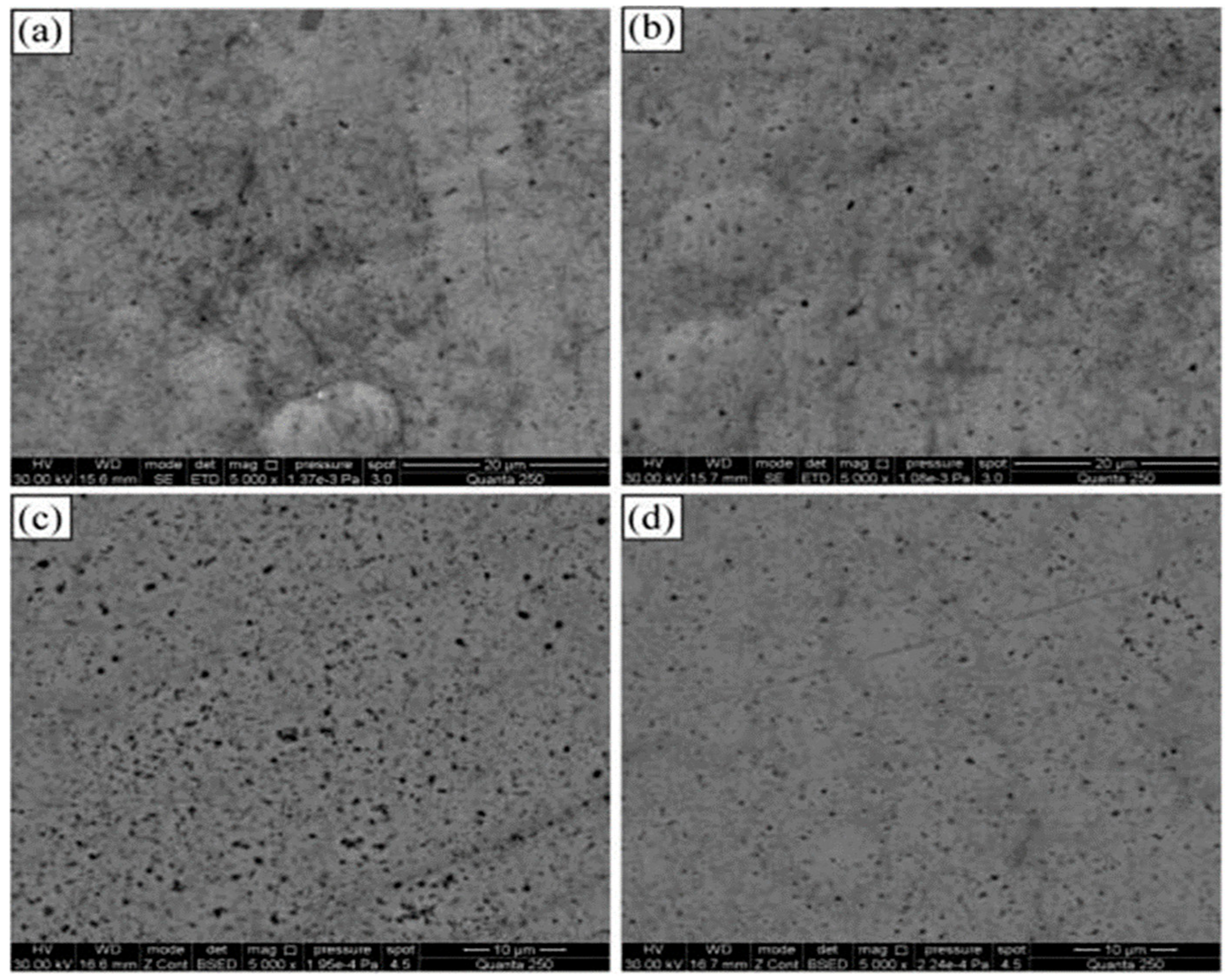Coatings 13 01988 g010