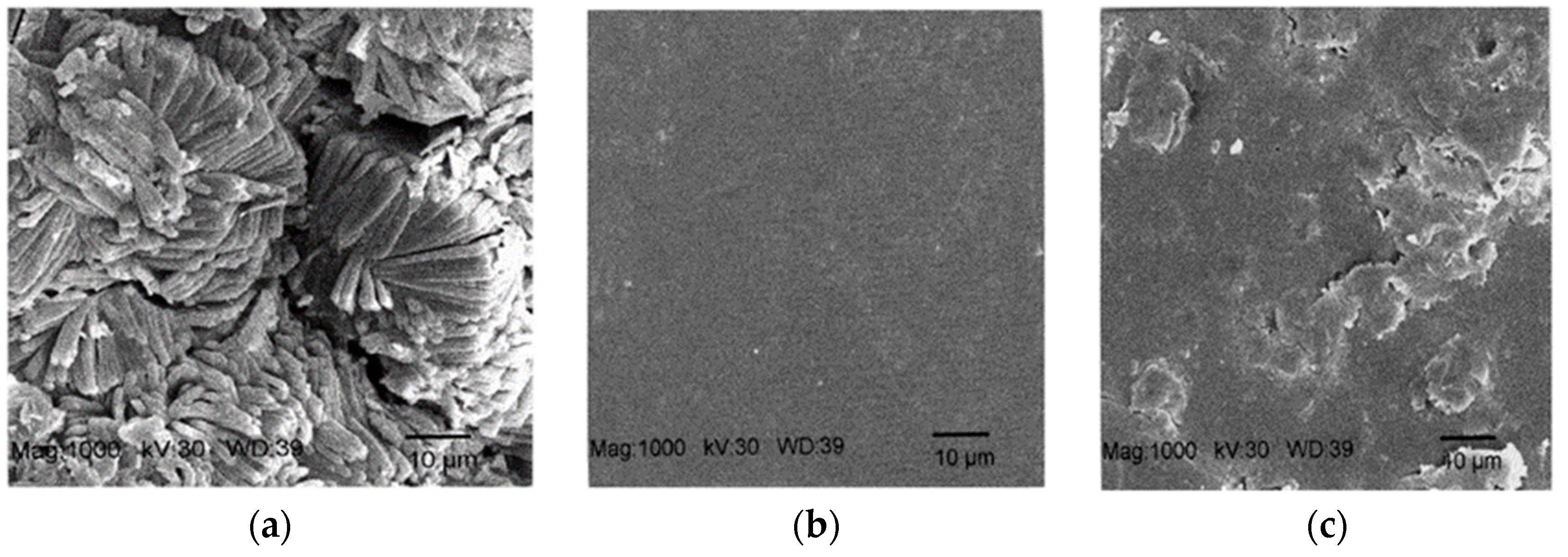 Coatings 13 01988 g011