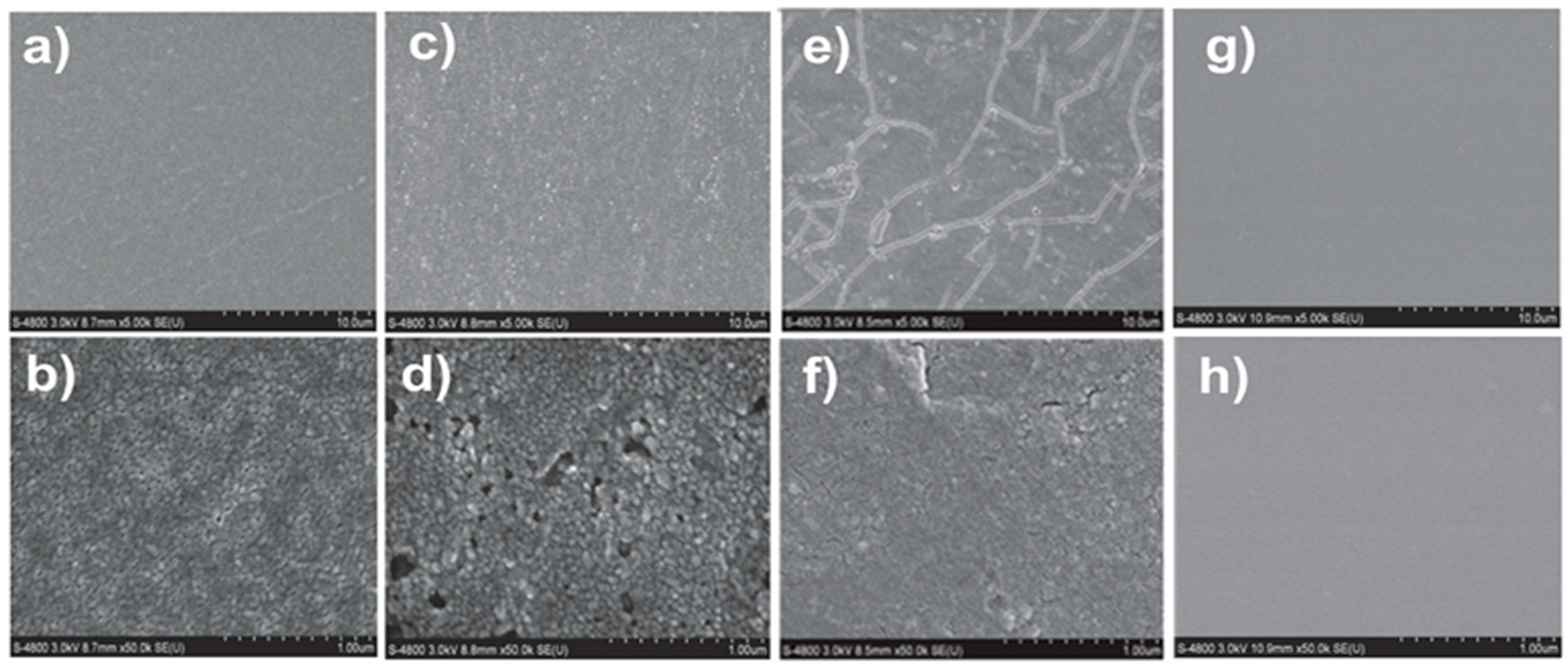 Coatings 13 01988 g012