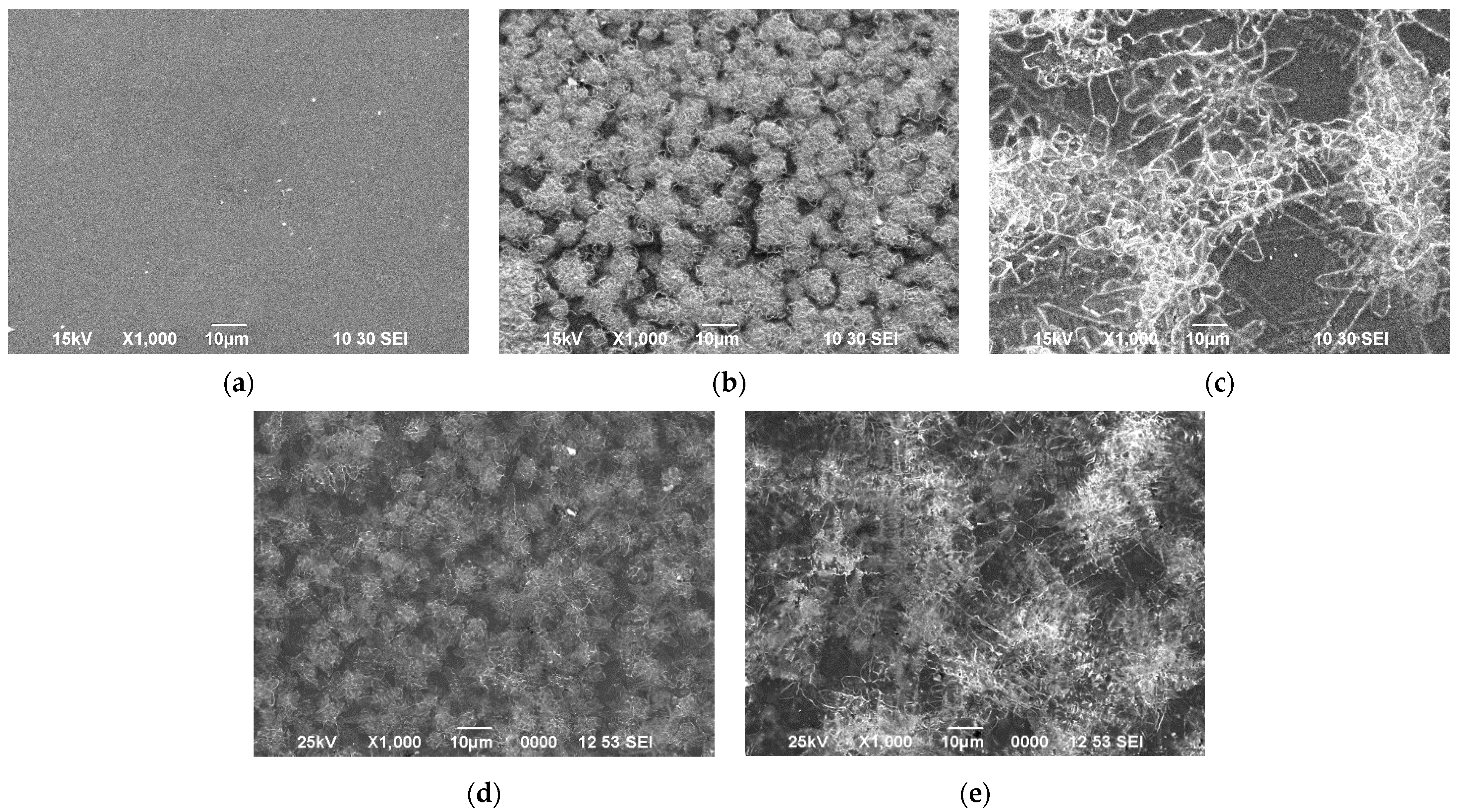 Coatings 13 01990 g004