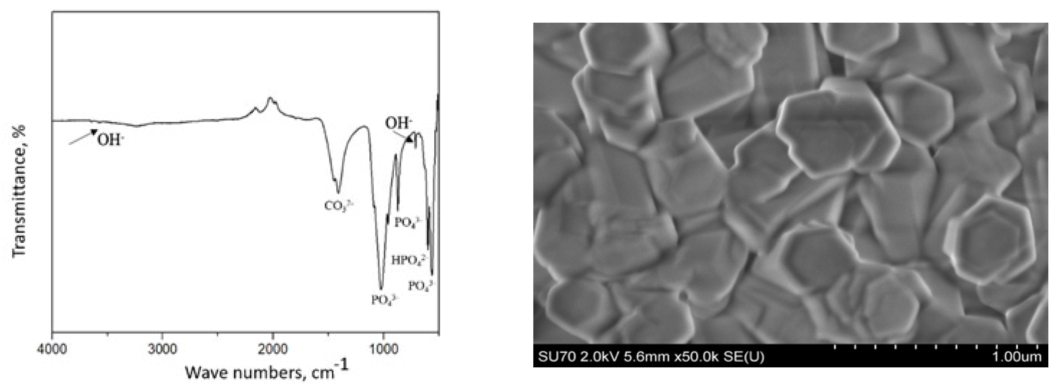 Coatings 13 01991 g001b