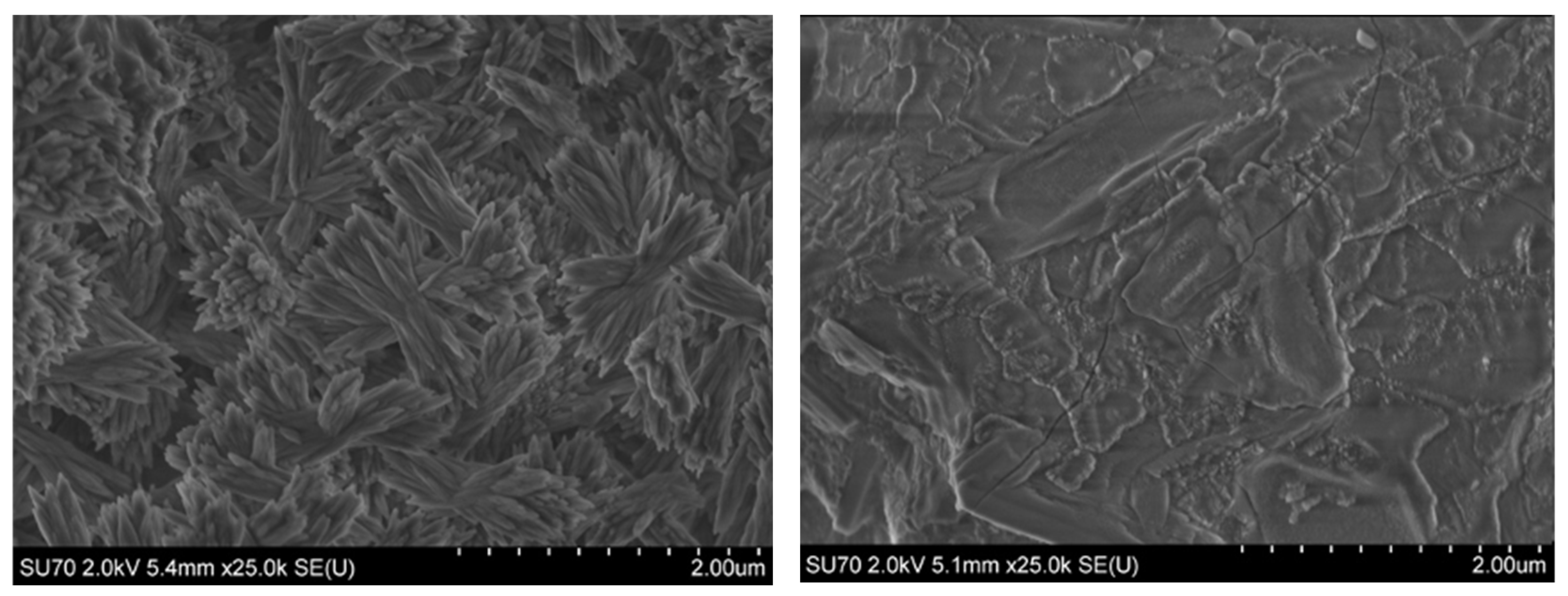 Coatings 13 01991 g006