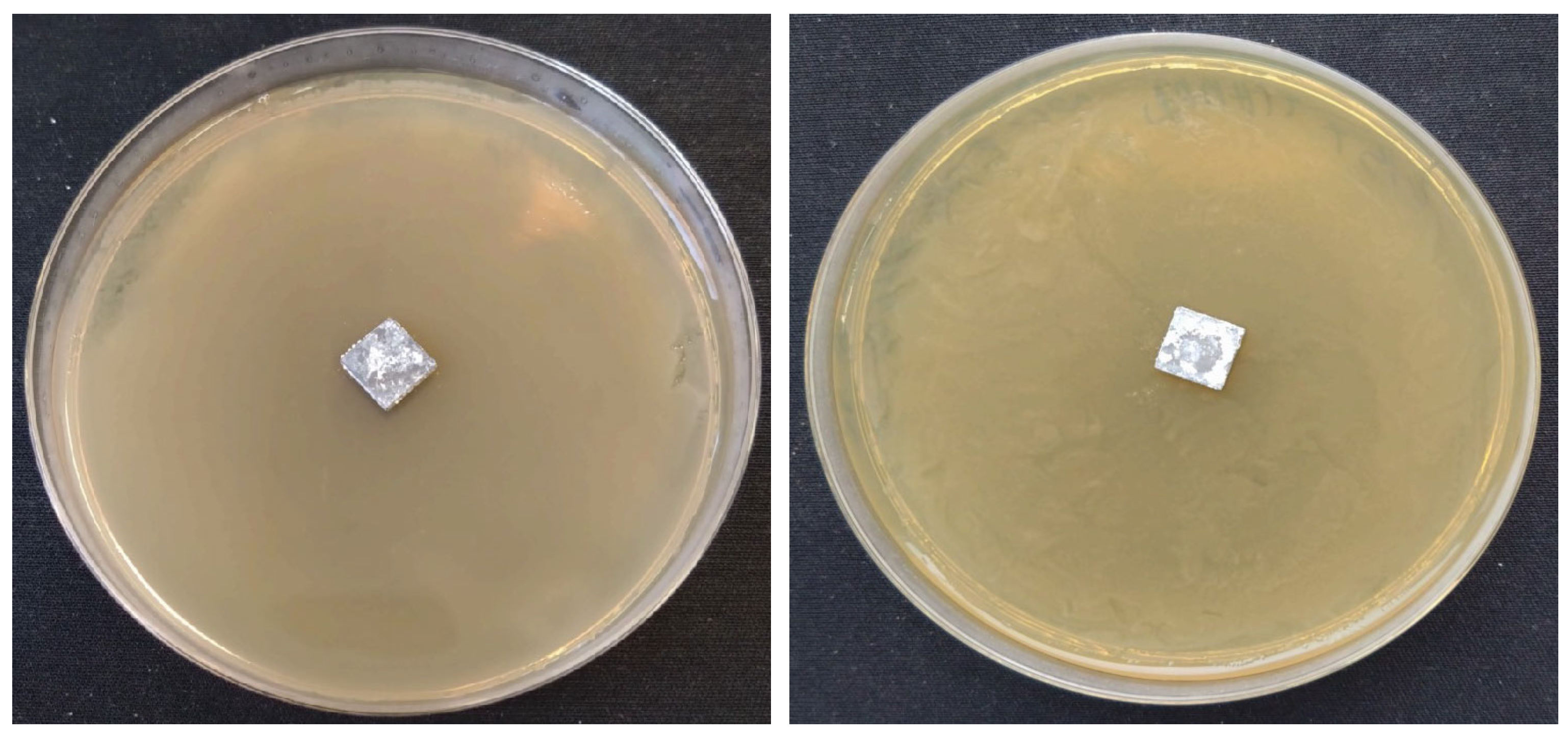 Coatings 13 01991 g008