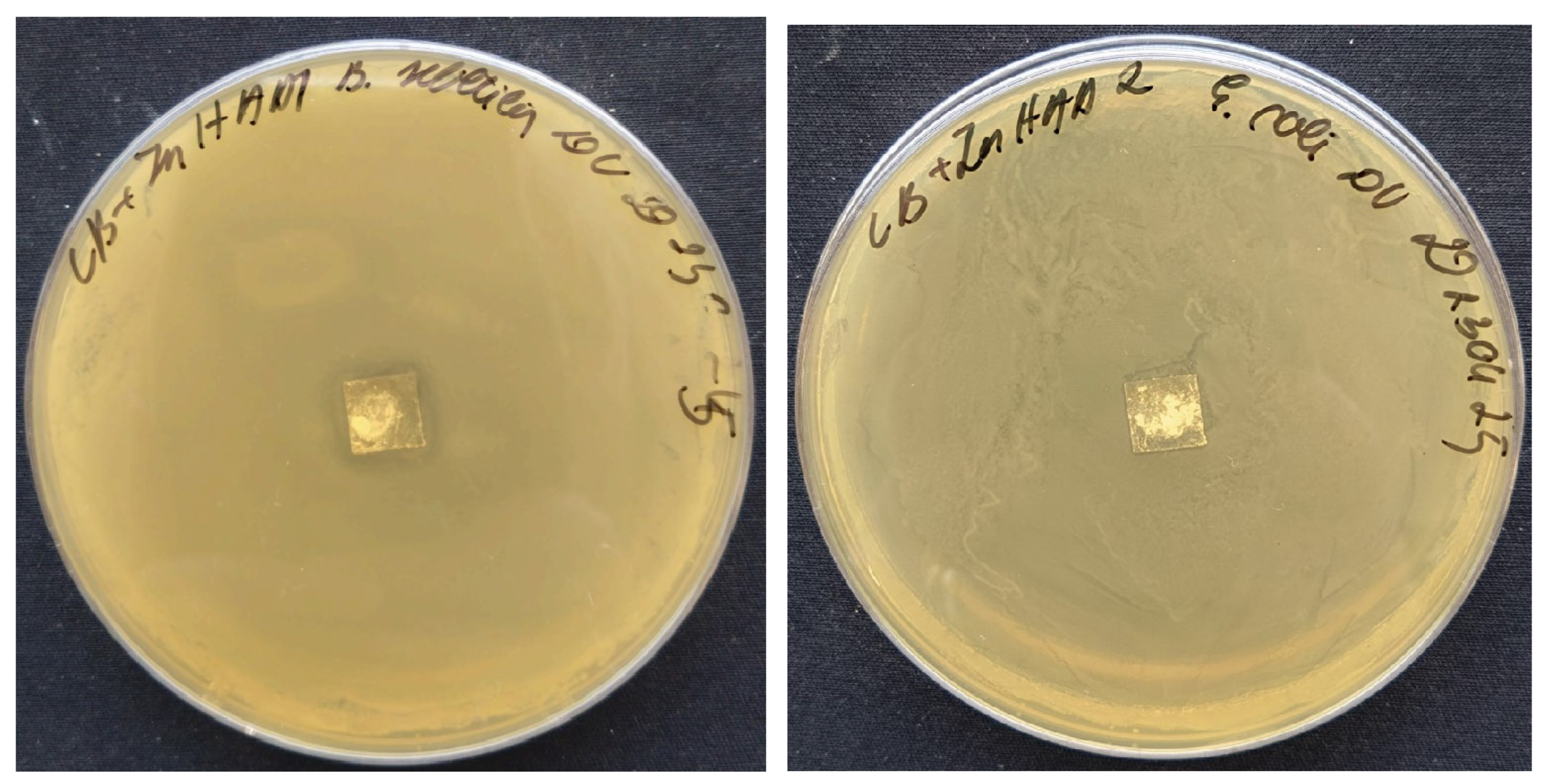 Coatings 13 01991 g010