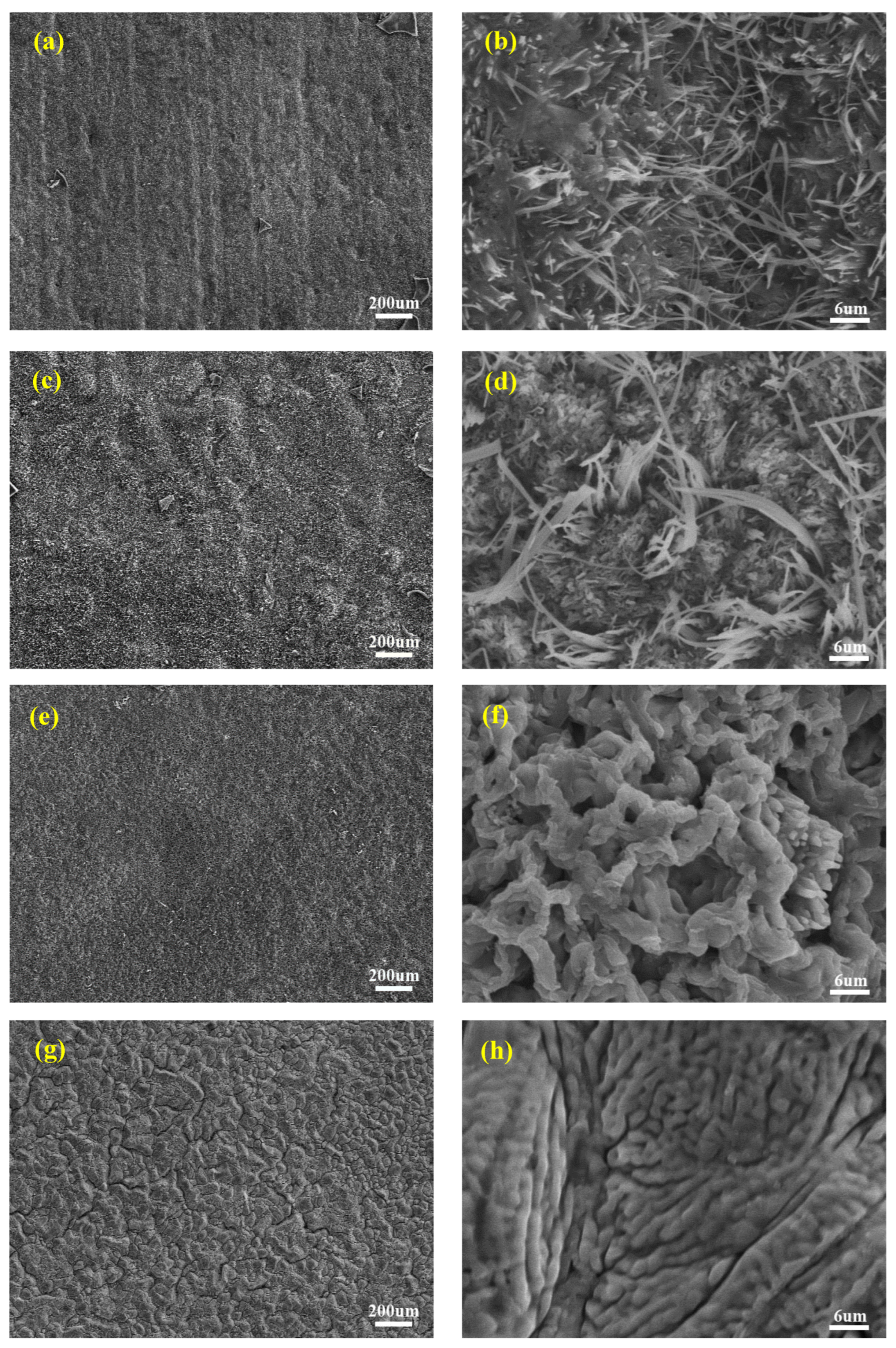 Coatings 13 01994 g002