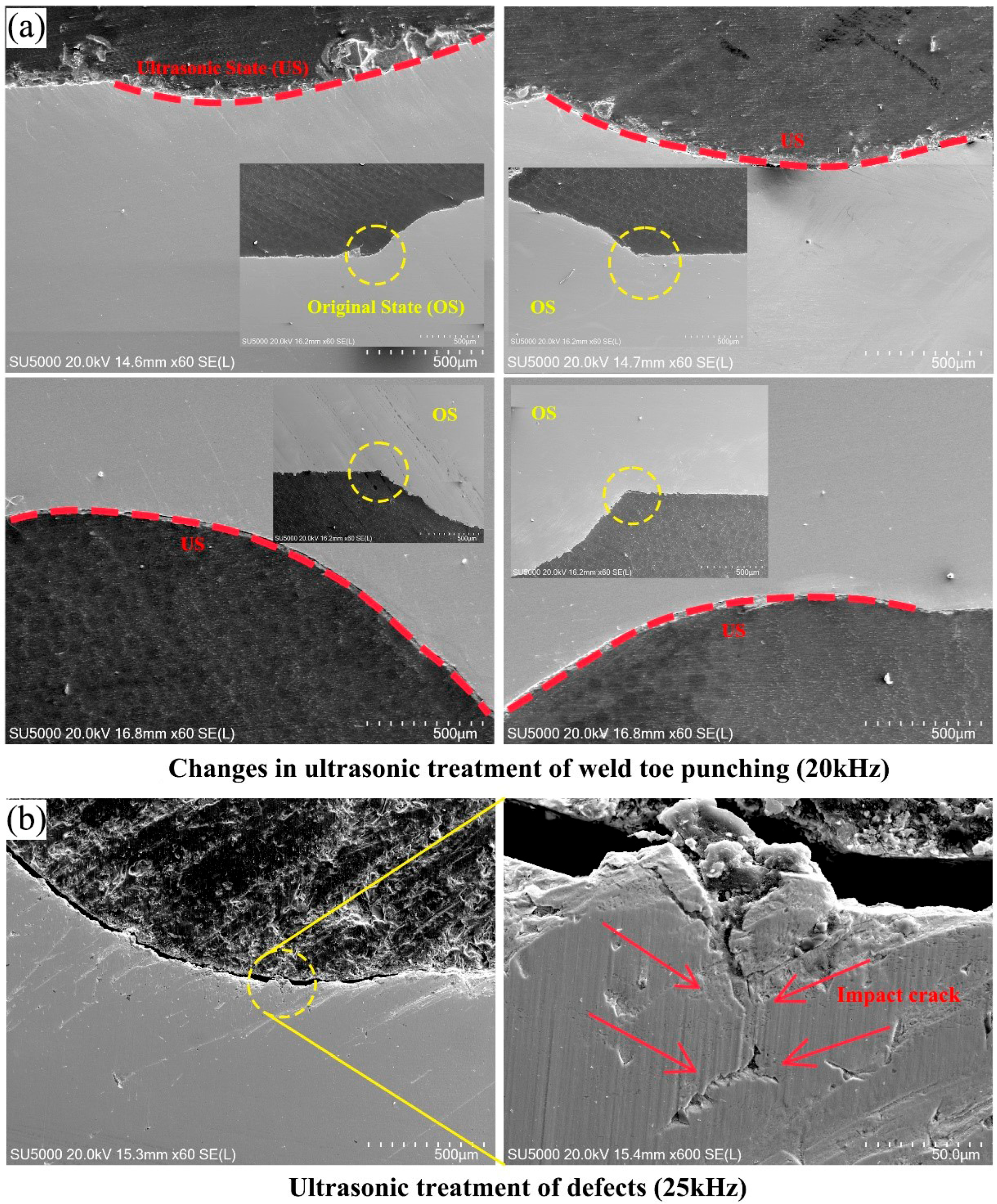 【翌日発送可能】 Effect of Ultrasonic Treatment on Microstructure and ベビージム