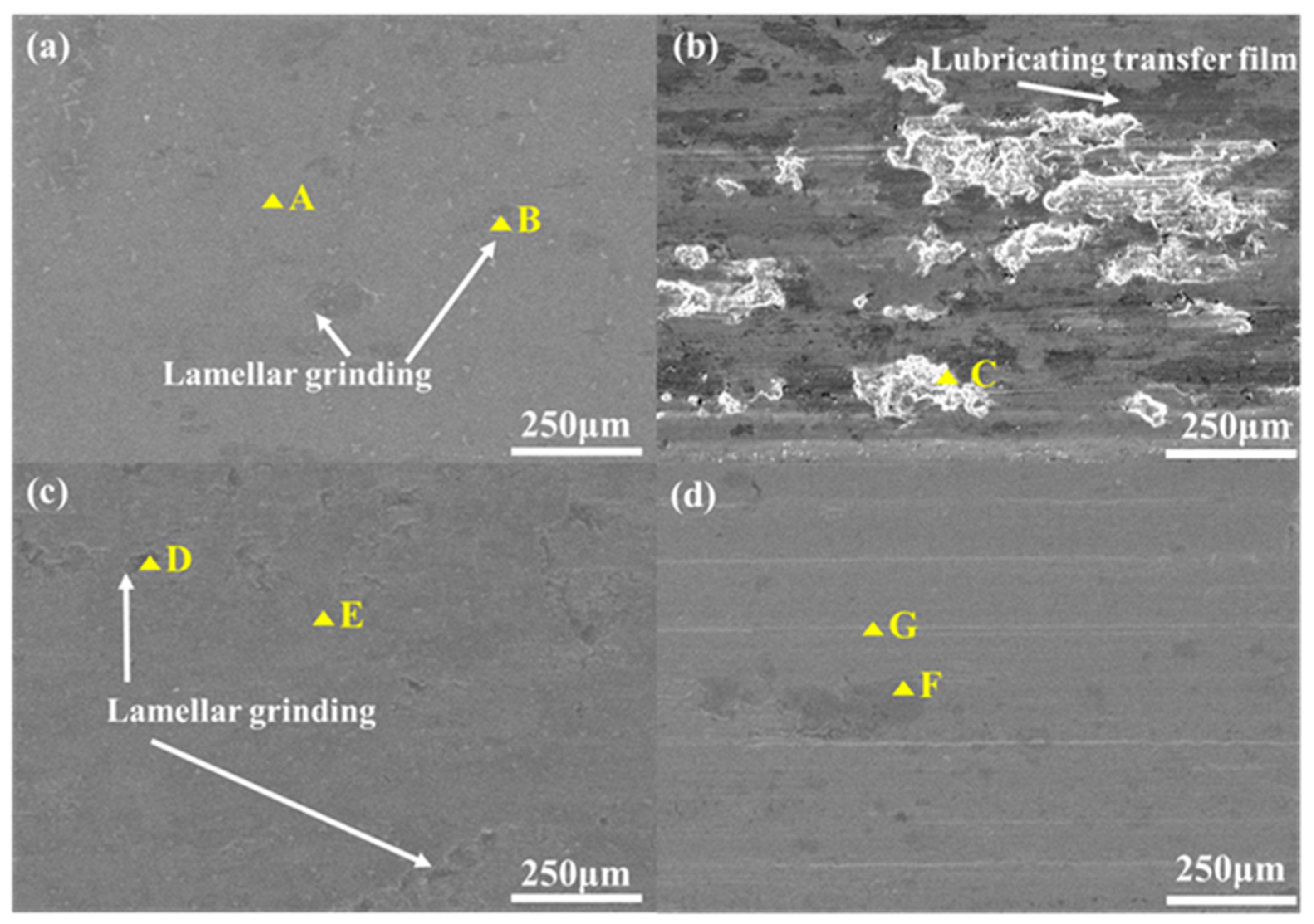 Coatings 13 01996 g005