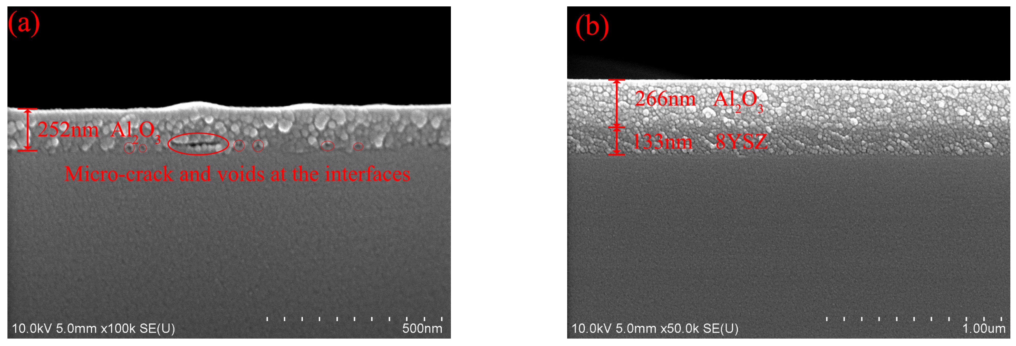 Coatings 13 01999 g010