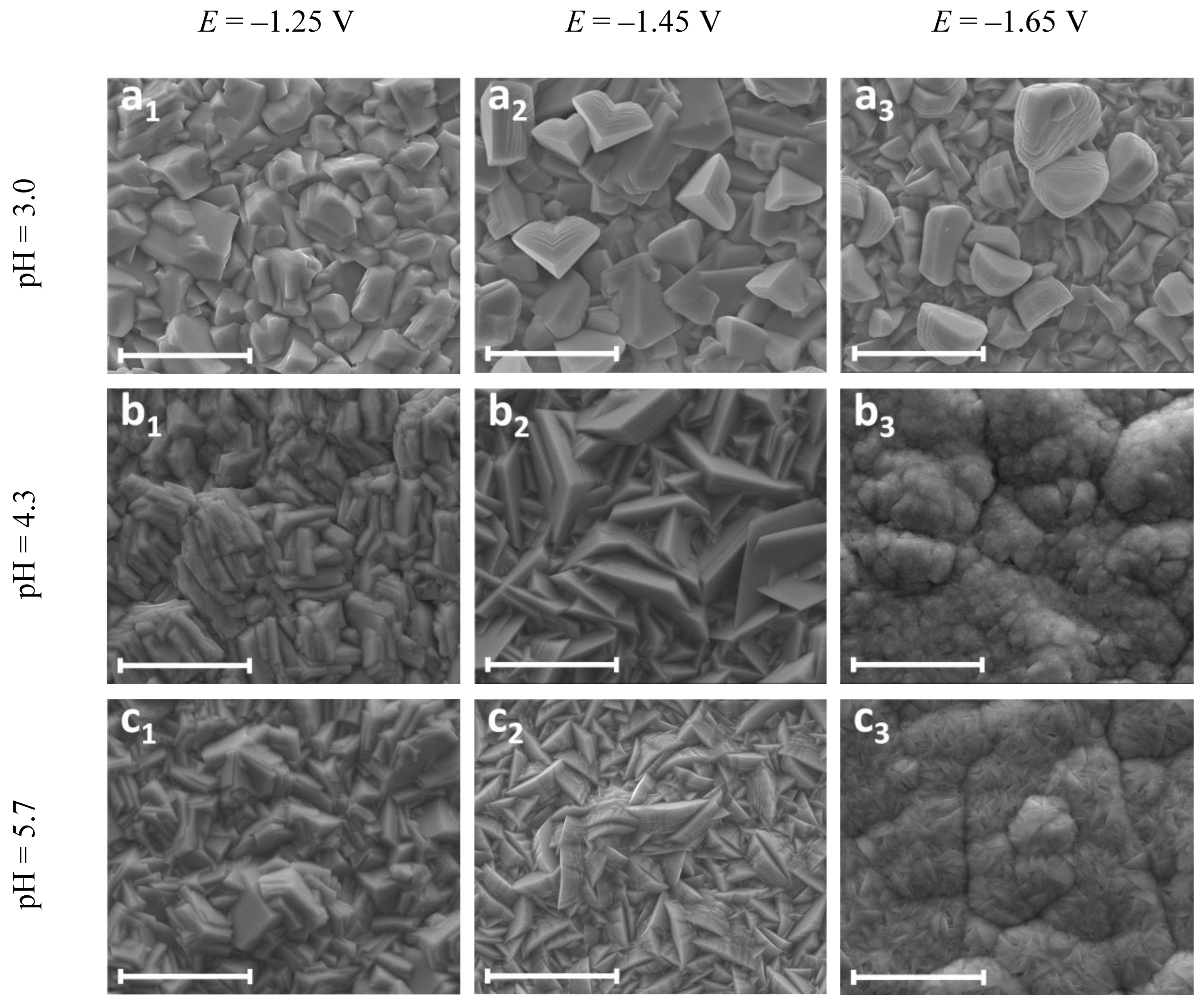 Coatings 13 02001 g008 Coatings 13 02001 g008