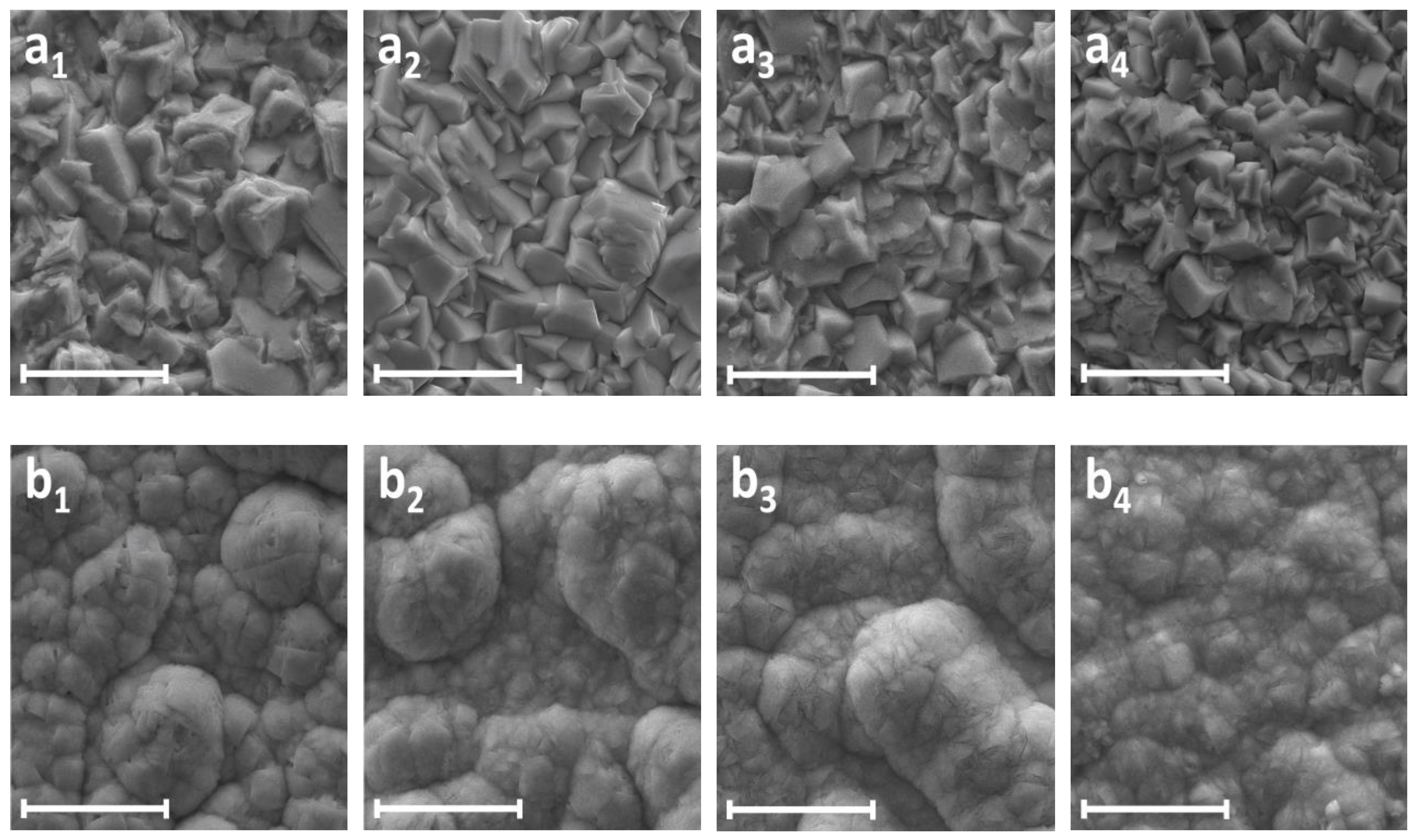 Coatings 13 02001 g009 Coatings 13 02001 g009