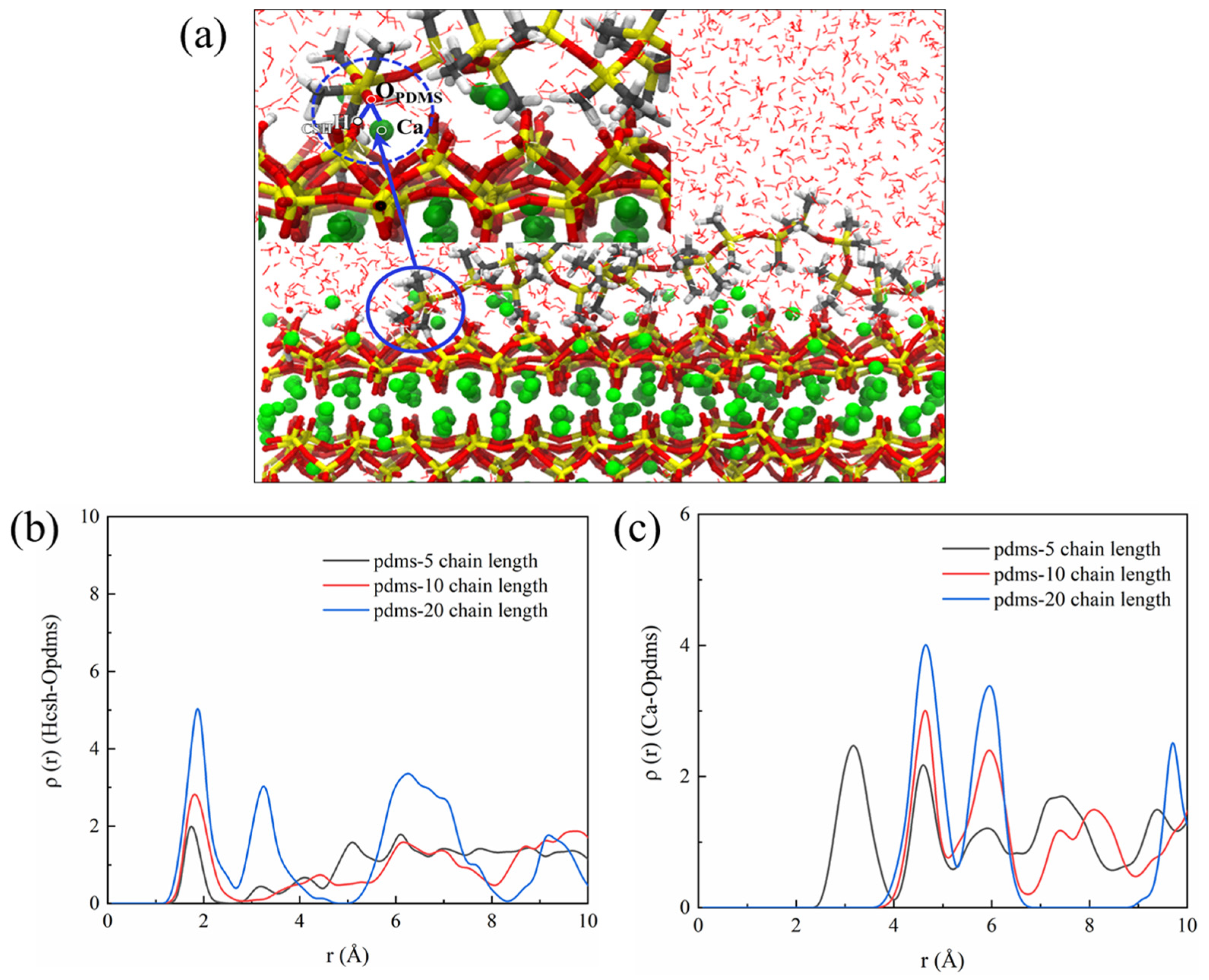 Coatings 13 02004 g012
