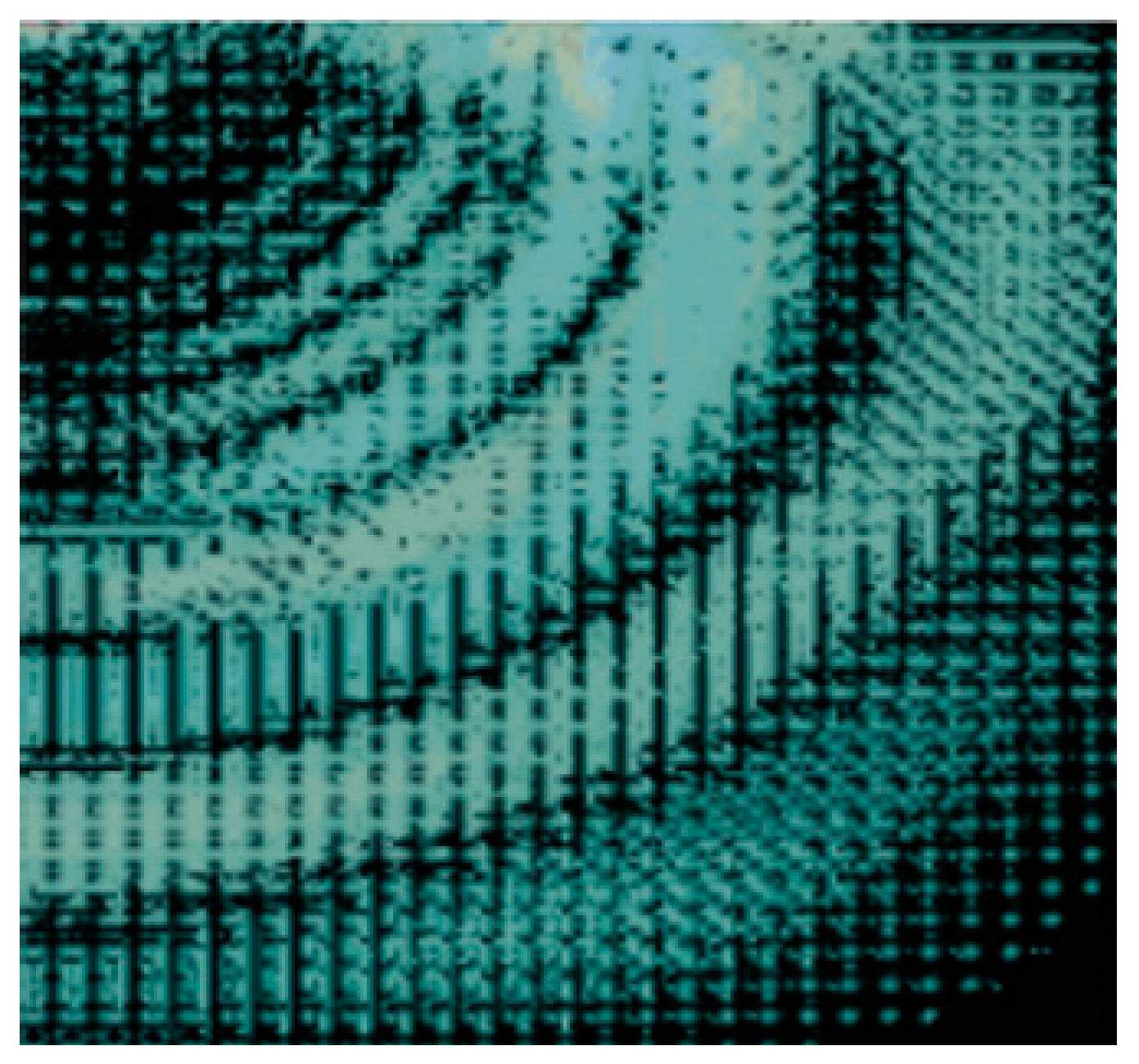 Coatings 13 02005 g011