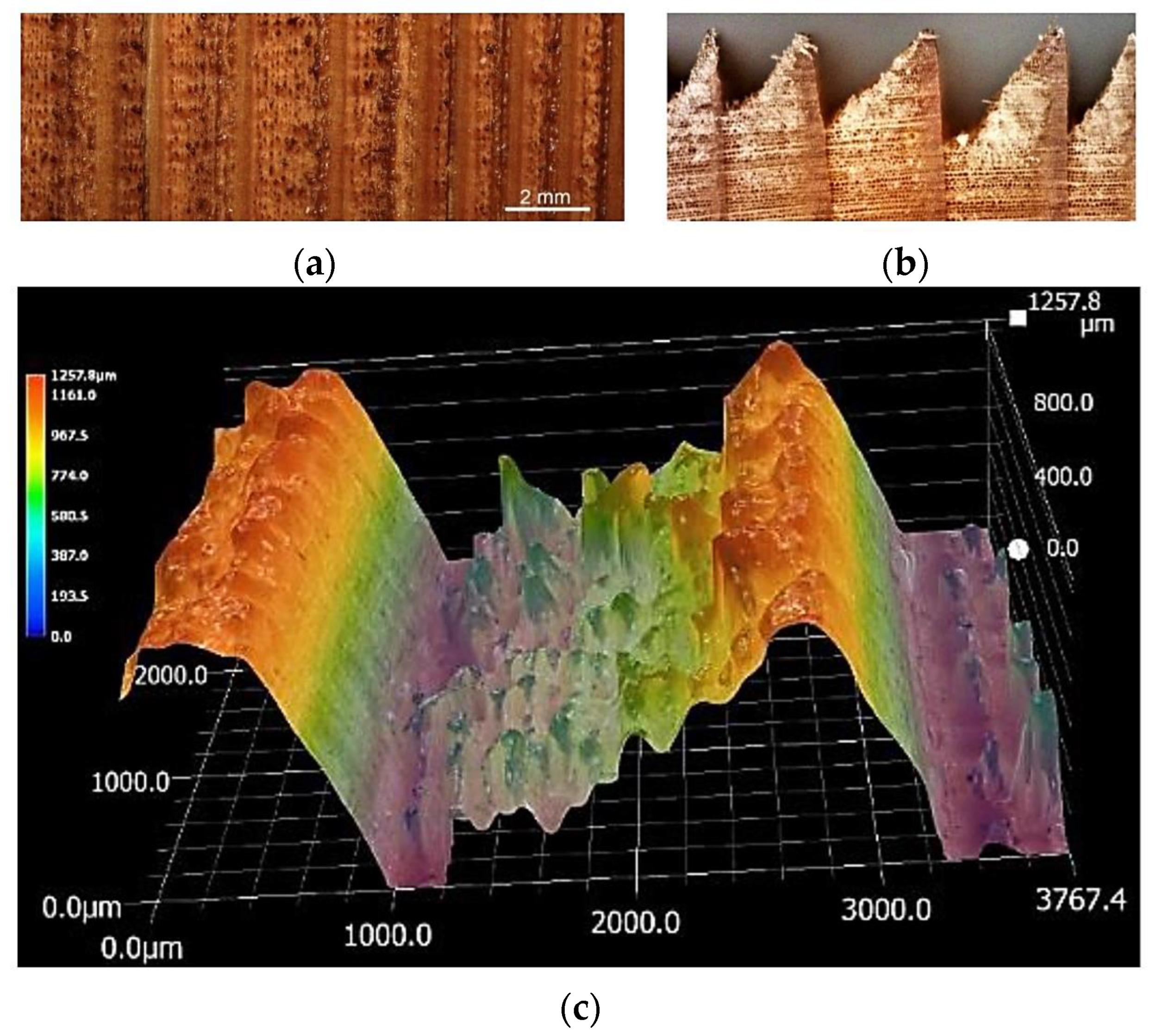 Coatings 13 02006 g003