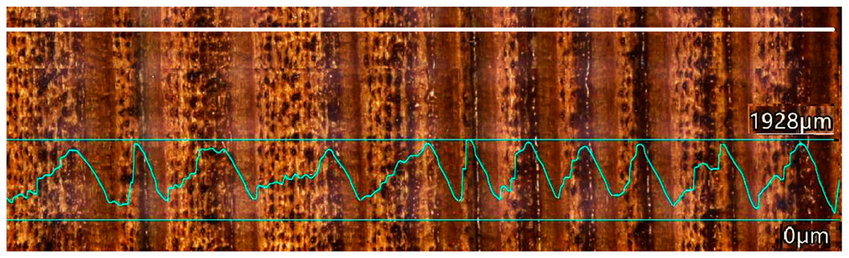 Coatings 13 02006 g005